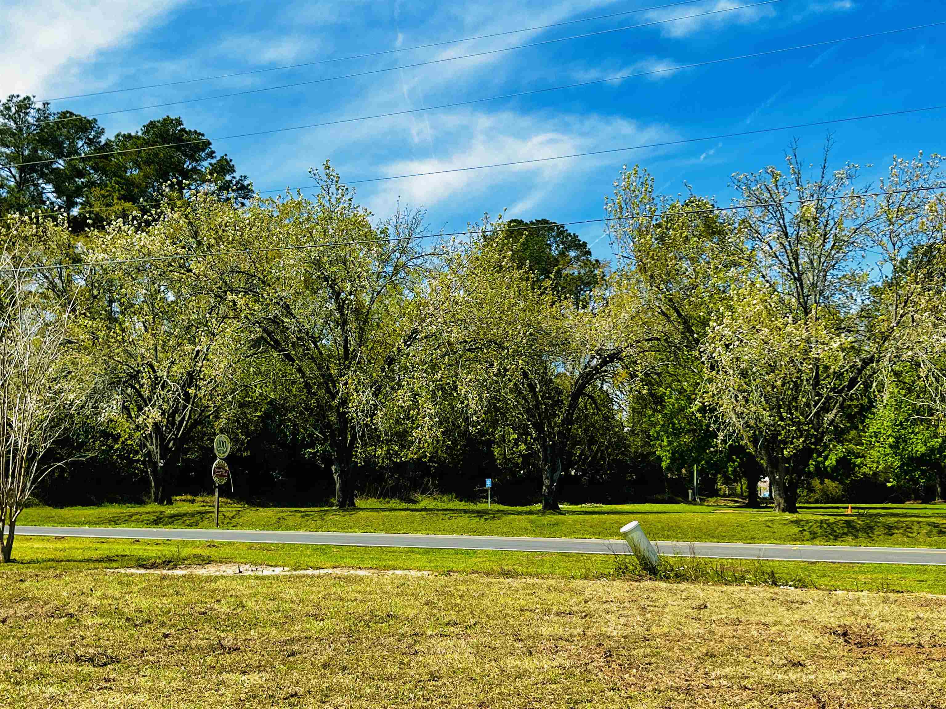 118 CASCADE FALLS Way,HAVANA,Florida 32333,4 Bedrooms Bedrooms,2 BathroomsBathrooms,Detached single family,118 CASCADE FALLS Way,368104