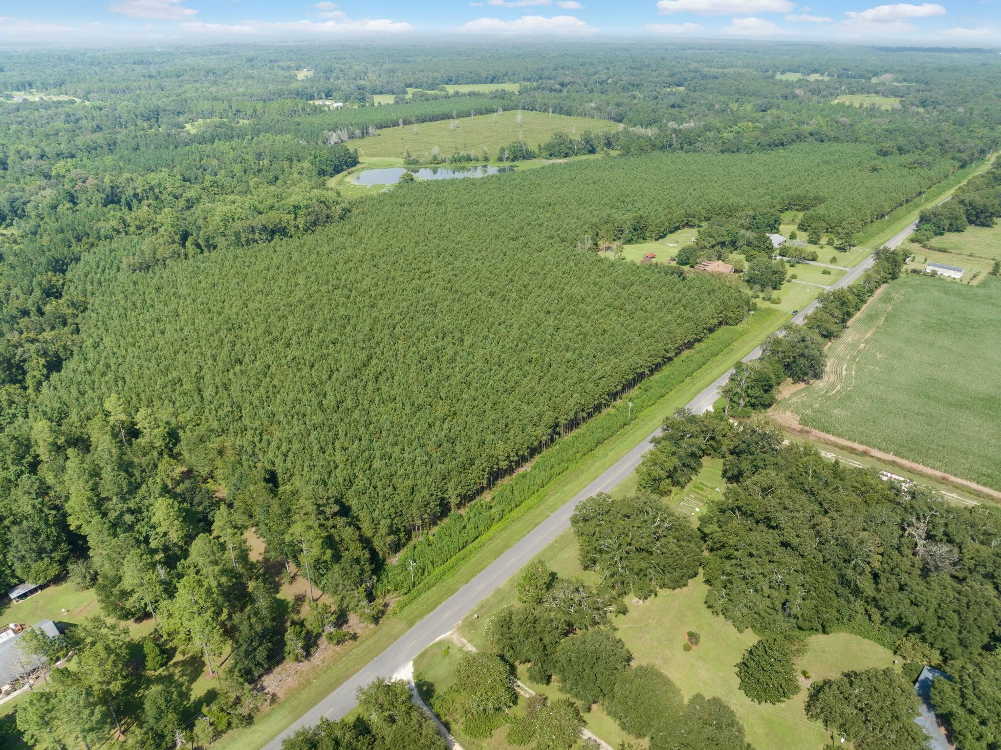 00 Rabon,MONTICELLO,Florida 32344,Lots and land,Rabon,362748