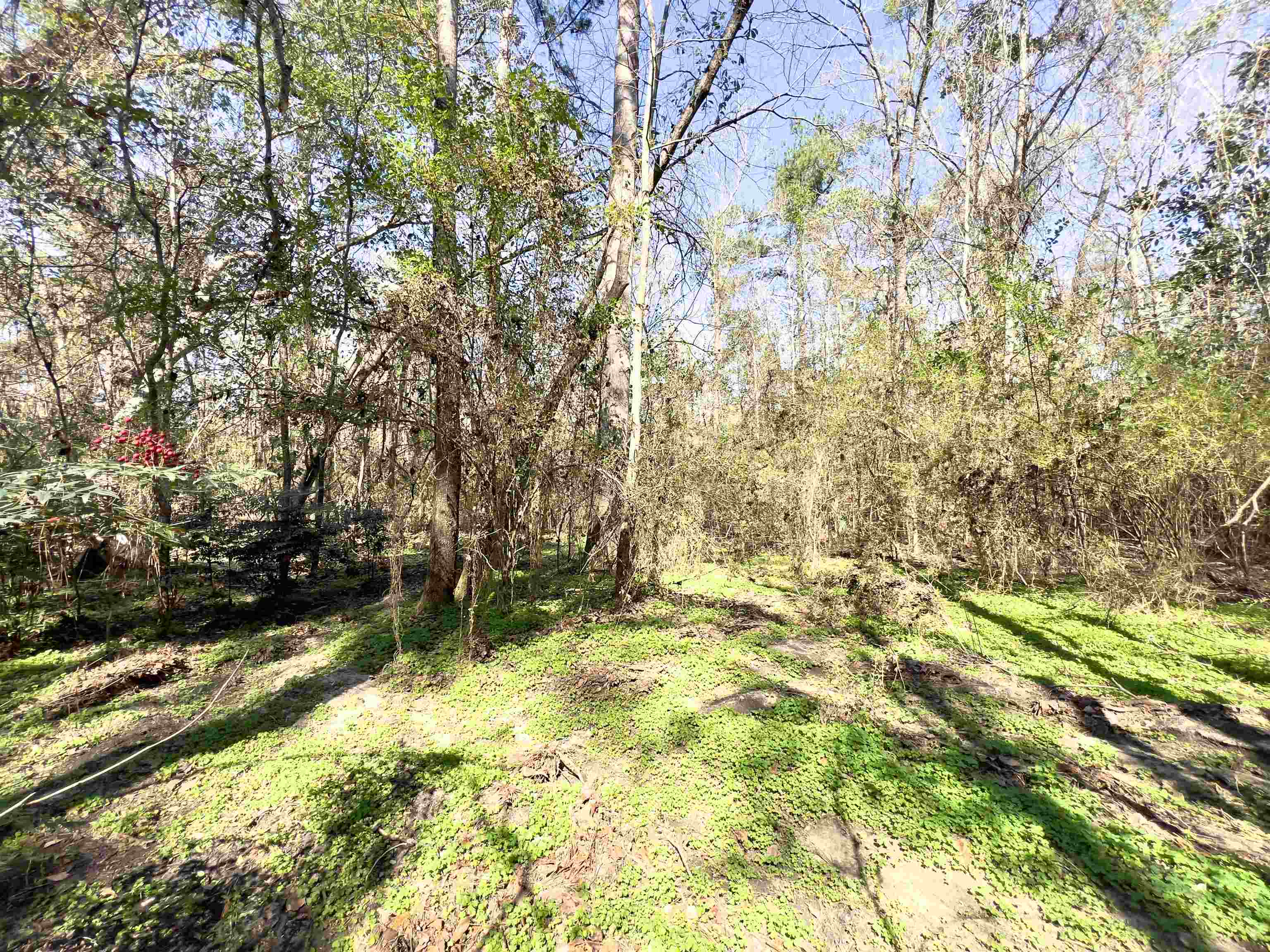 TBD Johnson,HAVANA,Florida 32333,Lots and land,Johnson,369239