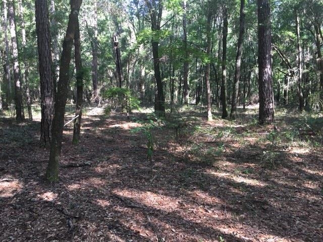 4723 Emanuel,TALLAHASSEE,Florida 32305,Lots and land,Emanuel,362875