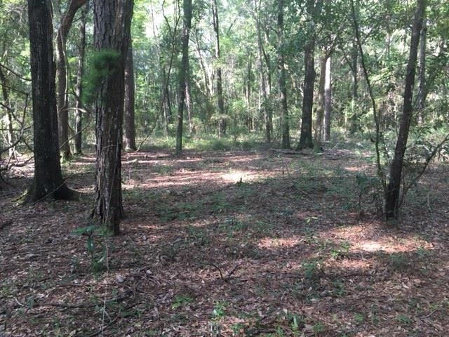 4723 Emanuel,TALLAHASSEE,Florida 32305,Lots and land,Emanuel,362875