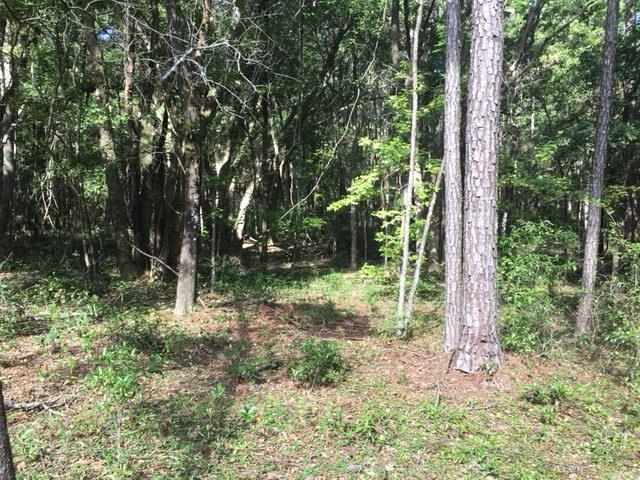 4723 Emanuel,TALLAHASSEE,Florida 32305,Lots and land,Emanuel,362875