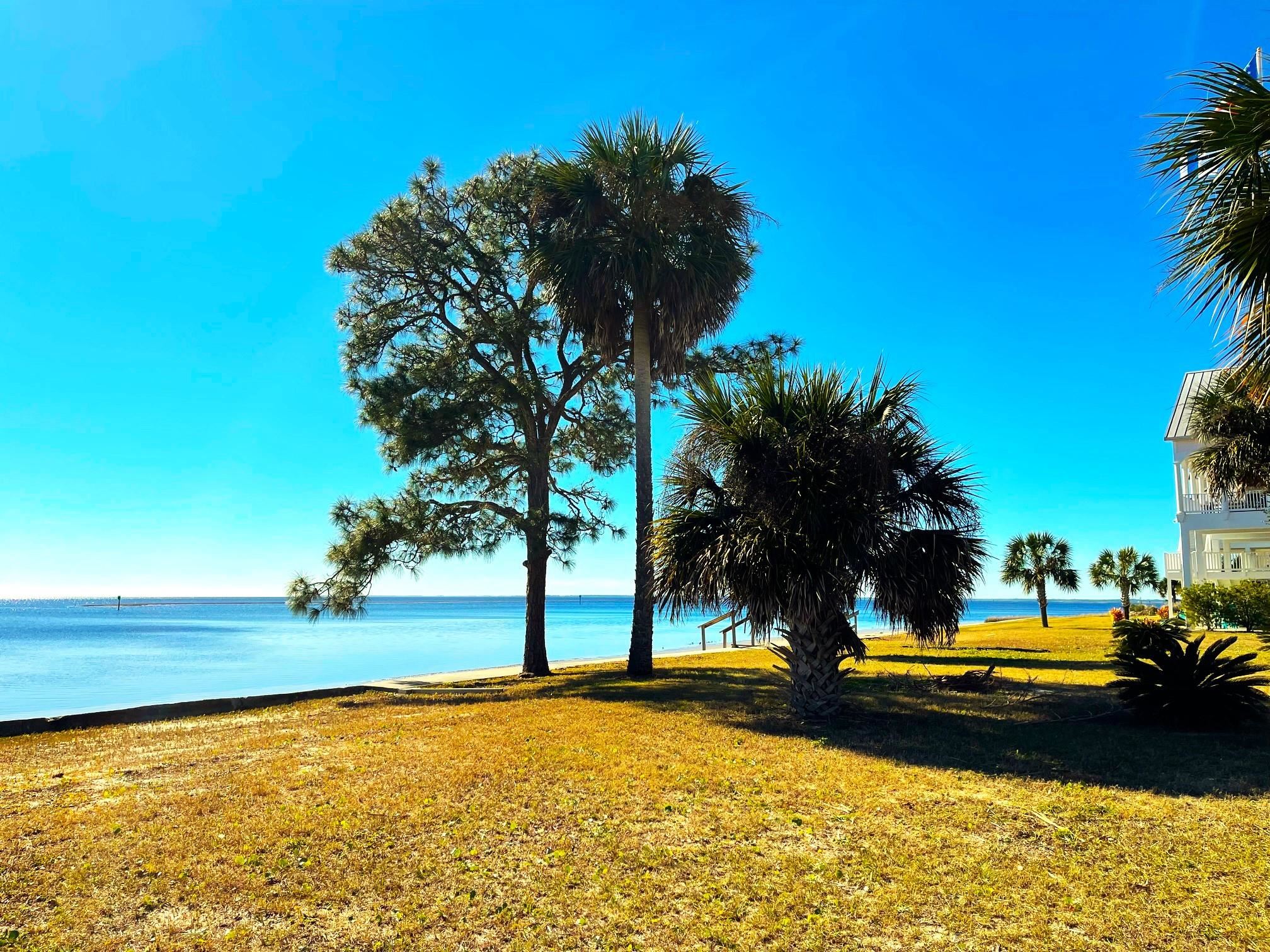 Lot 8 Shell Point,CRAWFORDVILLE,Florida 32327,Lots and land,Shell Point,367106