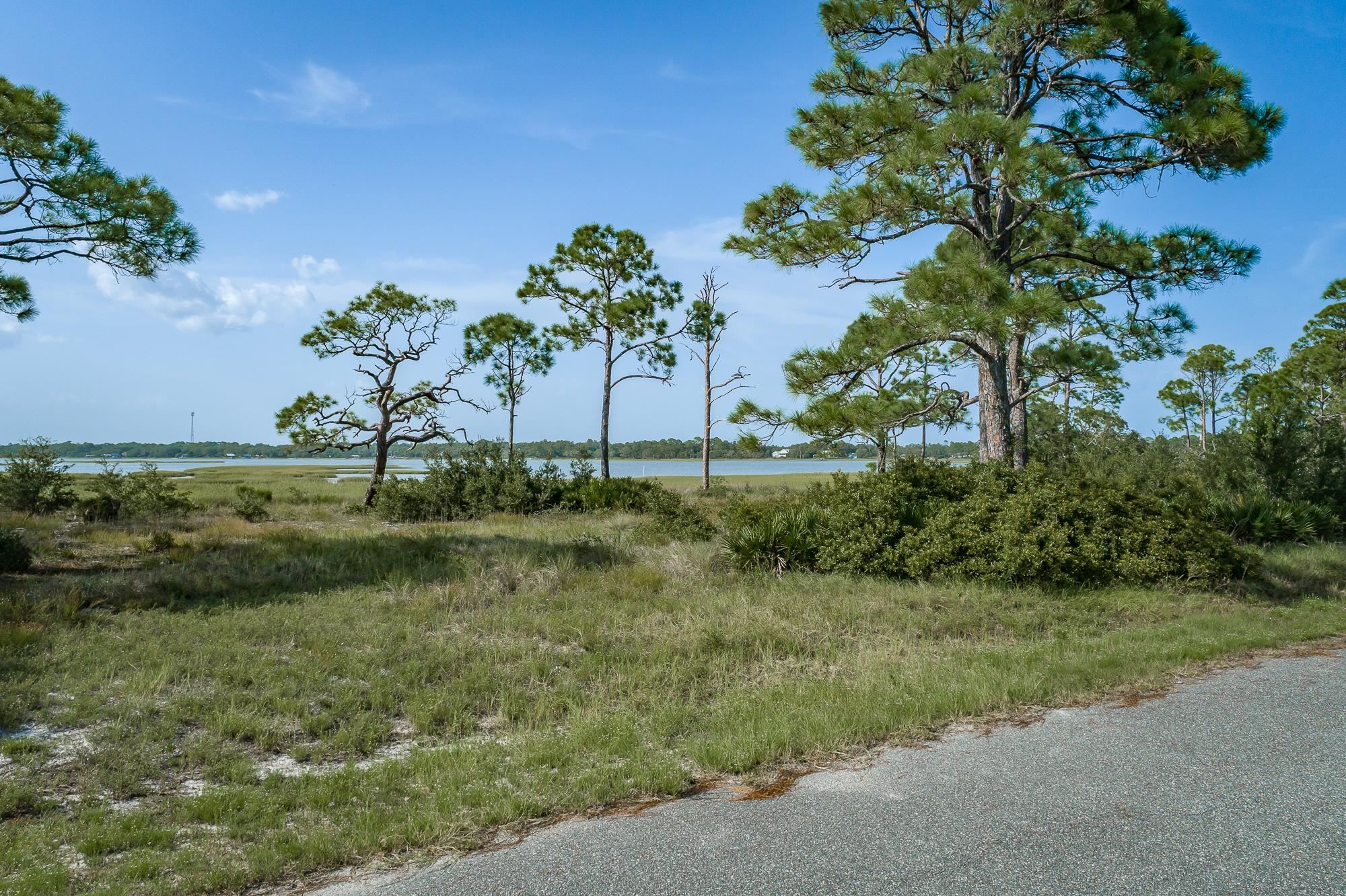 259 Hidden Harbor,ALLIGATOR POINT,Florida 32346,Lots and land,Hidden Harbor,362962