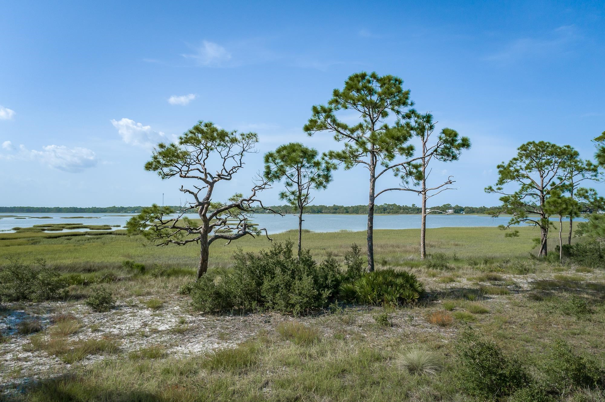 259 Hidden Harbor,ALLIGATOR POINT,Florida 32346,Lots and land,Hidden Harbor,362962