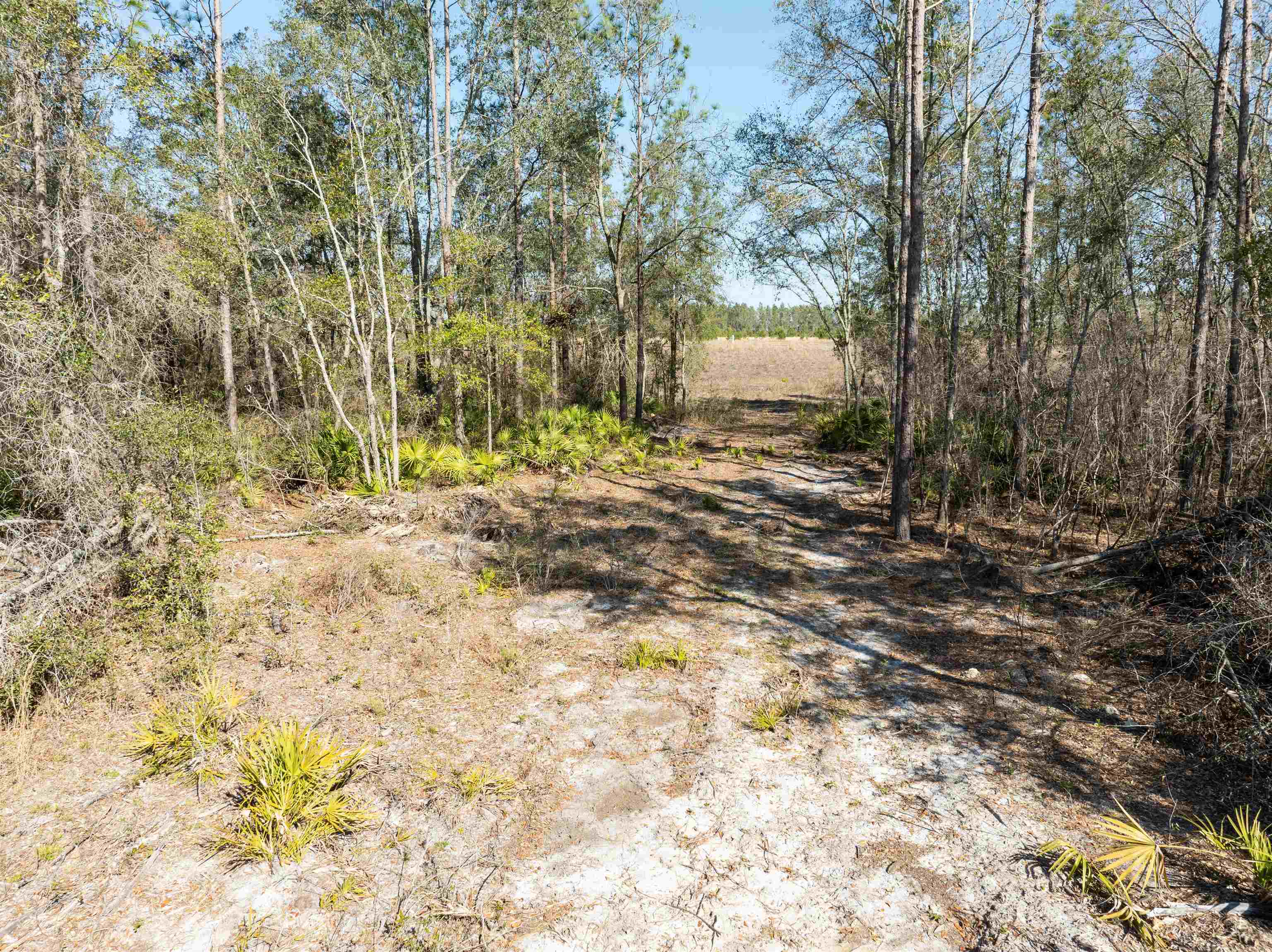 BEULAH CHURCH,LEE,Florida 32059,Lots and land,BEULAH CHURCH,367127