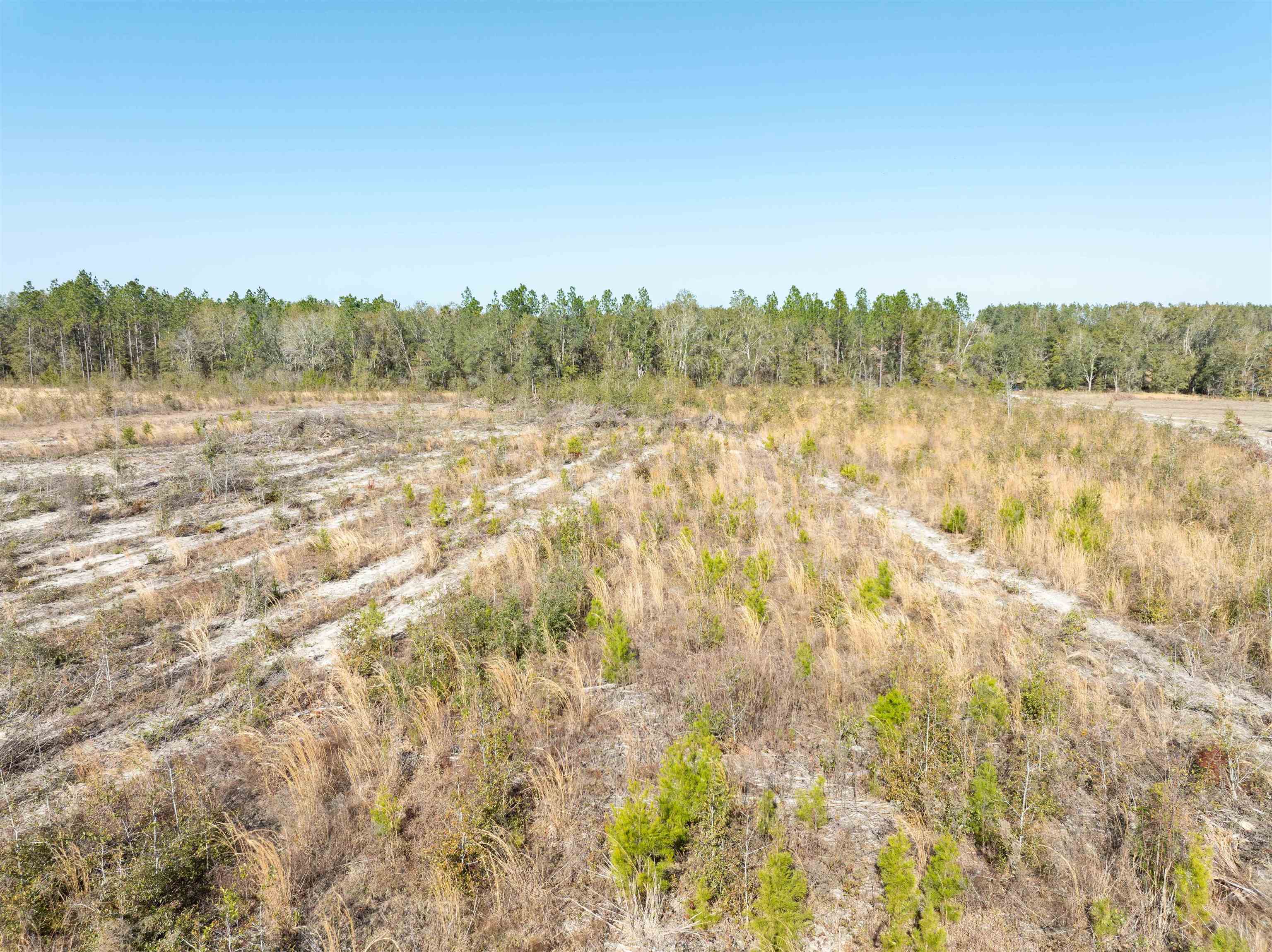 BEULAH CHURCH,LEE,Florida 32059,Lots and land,BEULAH CHURCH,367127