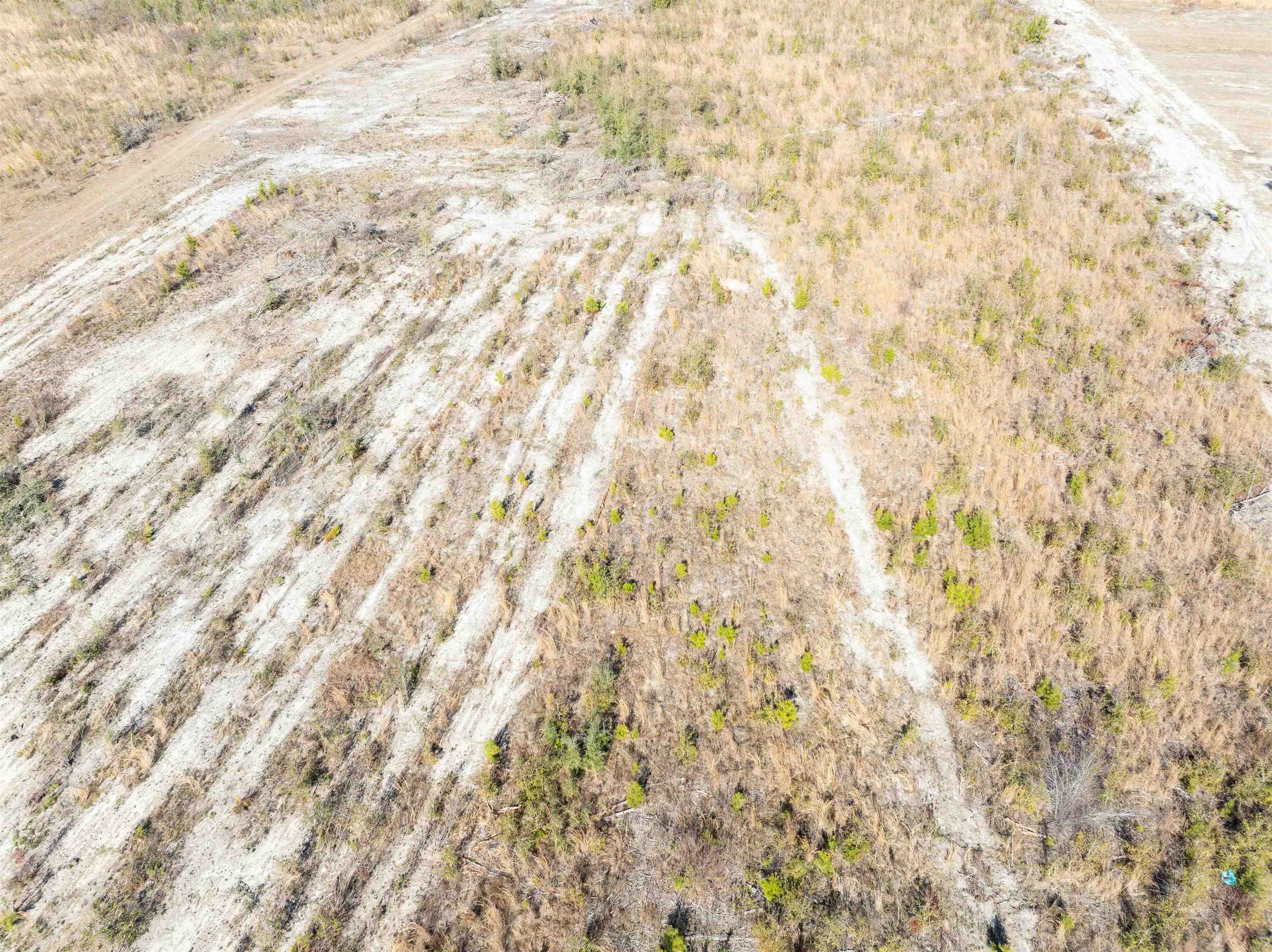 BEULAH CHURCH,LEE,Florida 32059,Lots and land,BEULAH CHURCH,367127