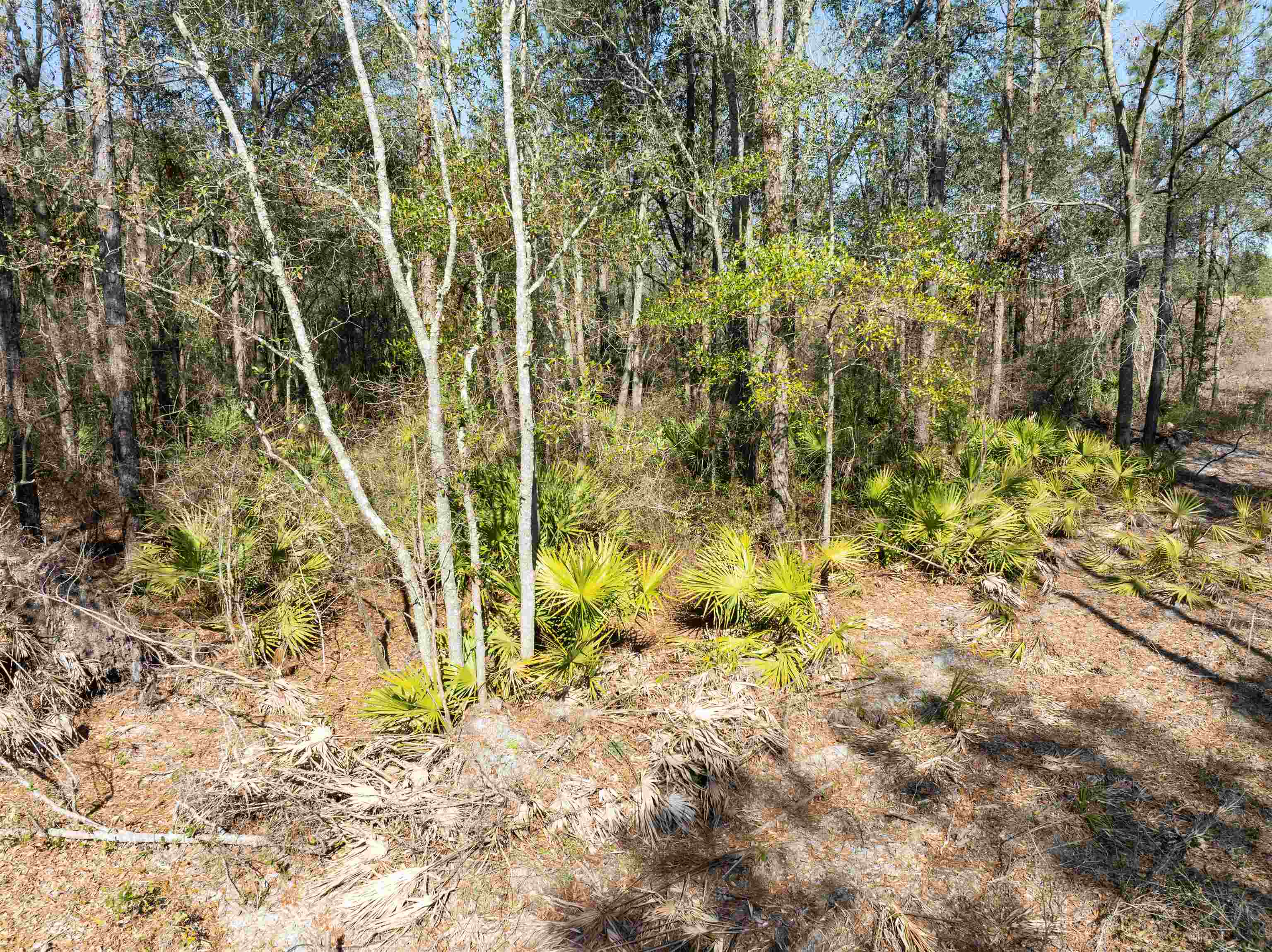 BEULAH CHURCH,LEE,Florida 32059,Lots and land,BEULAH CHURCH,367127