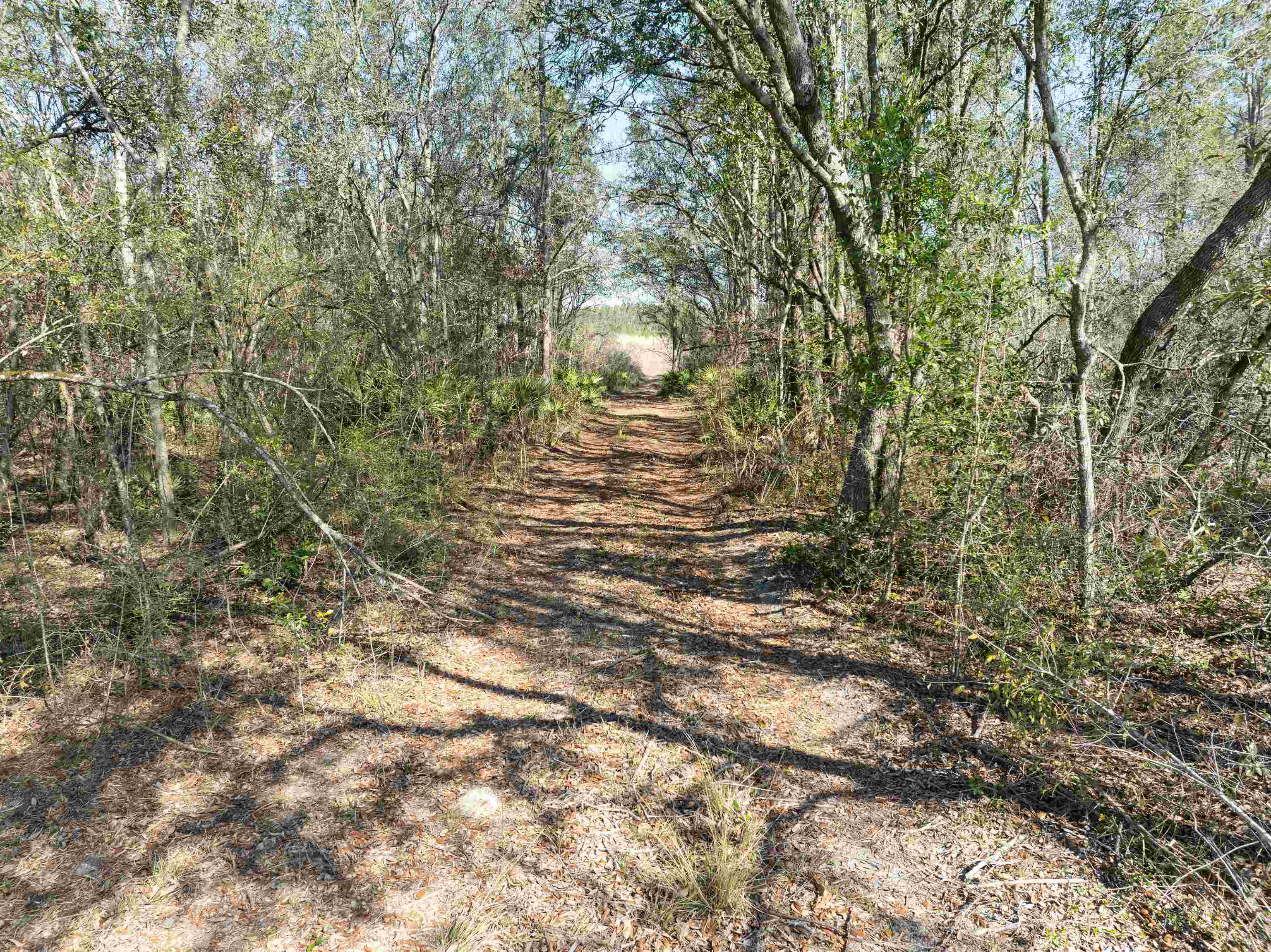 BEULAH CHURCH,LEE,Florida 32059,Lots and land,BEULAH CHURCH,367127