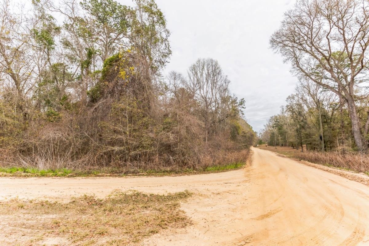 Ashville Highlands,GREENVILLE,Florida 32331,Lots and land,Ashville Highlands,369295