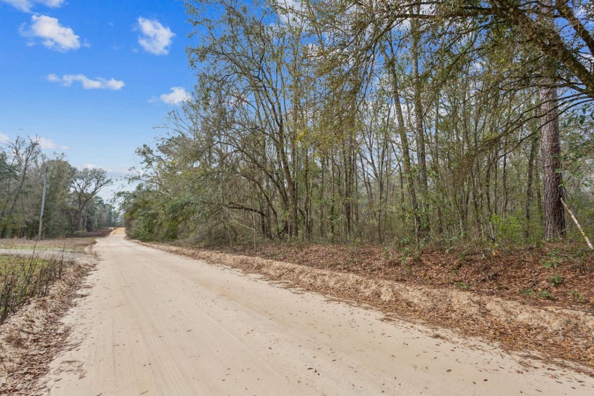 Ashville Highlands,GREENVILLE,Florida 32331,Lots and land,Ashville Highlands,369295