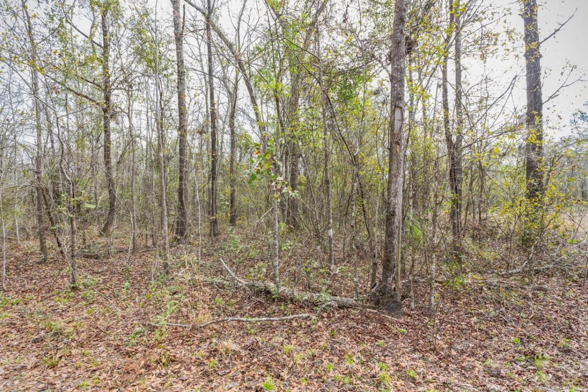 Ashville Highlands,GREENVILLE,Florida 32331,Lots and land,Ashville Highlands,369295