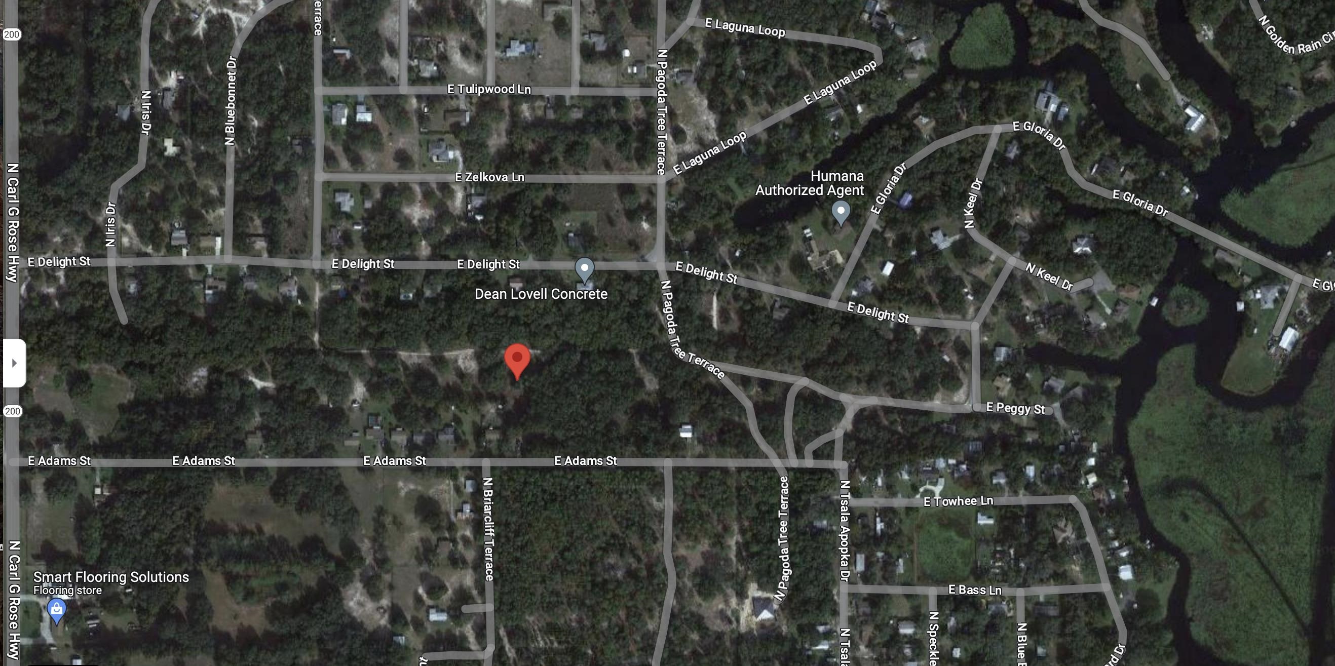 3724 PEGGY ST,OTHER FLORIDA,Florida 34442,Lots and land,PEGGY ST,1,363060