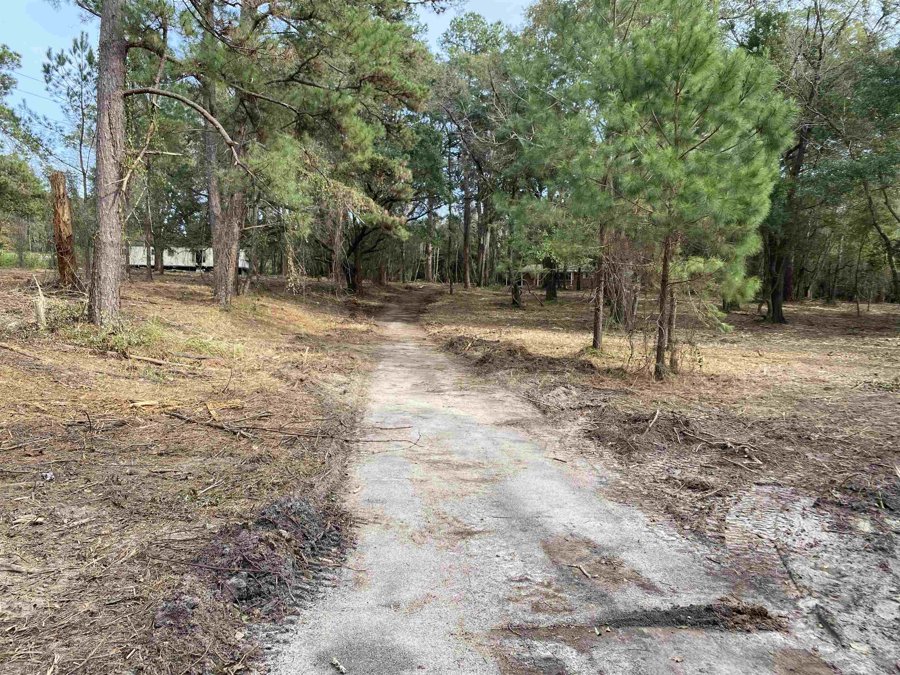 2331 Trimble,TALLAHASSEE,Florida 32309,Lots and land,Trimble,367144