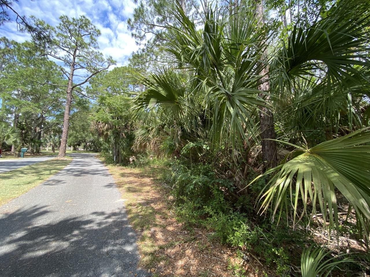 xxx Carrol,CRAWFORDVILLE,Florida 32327,Lots and land,Carrol,363103