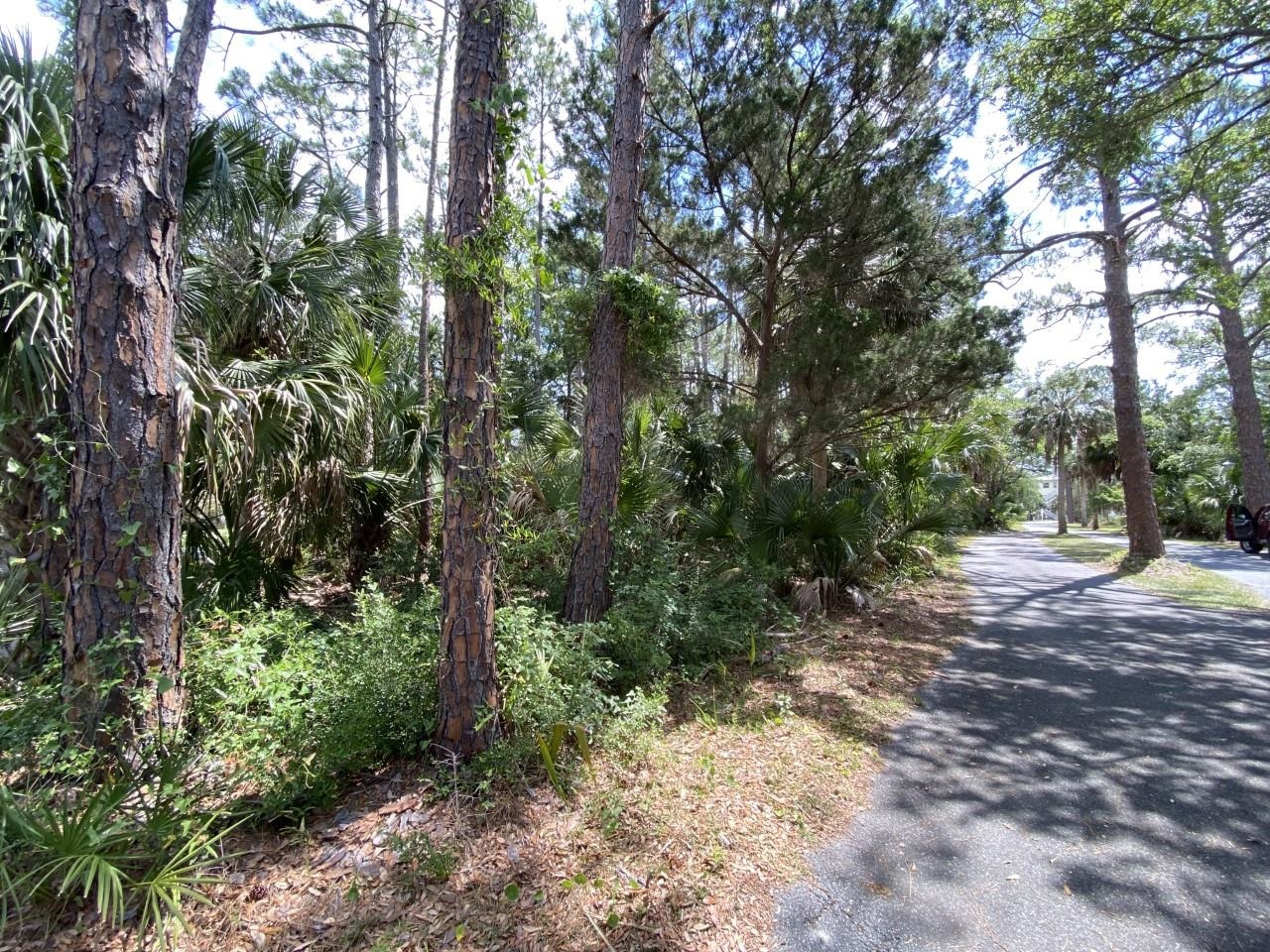 xxx Carrol,CRAWFORDVILLE,Florida 32327,Lots and land,Carrol,363103