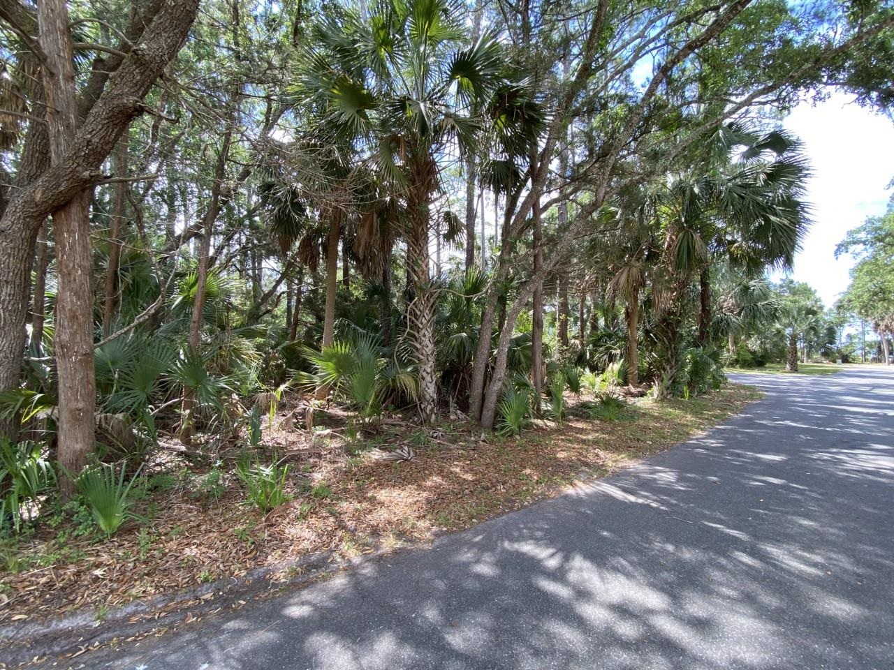 xxx Carrol,CRAWFORDVILLE,Florida 32327,Lots and land,Carrol,363103