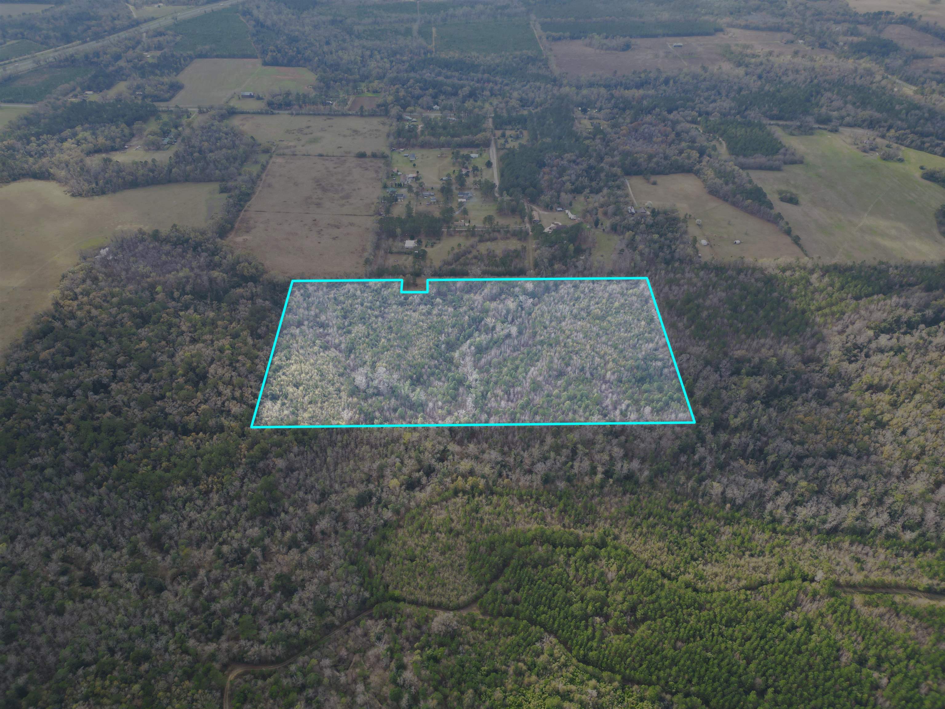 XXX Primrose,QUINCY,Florida 32351,Lots and land,Primrose,369320