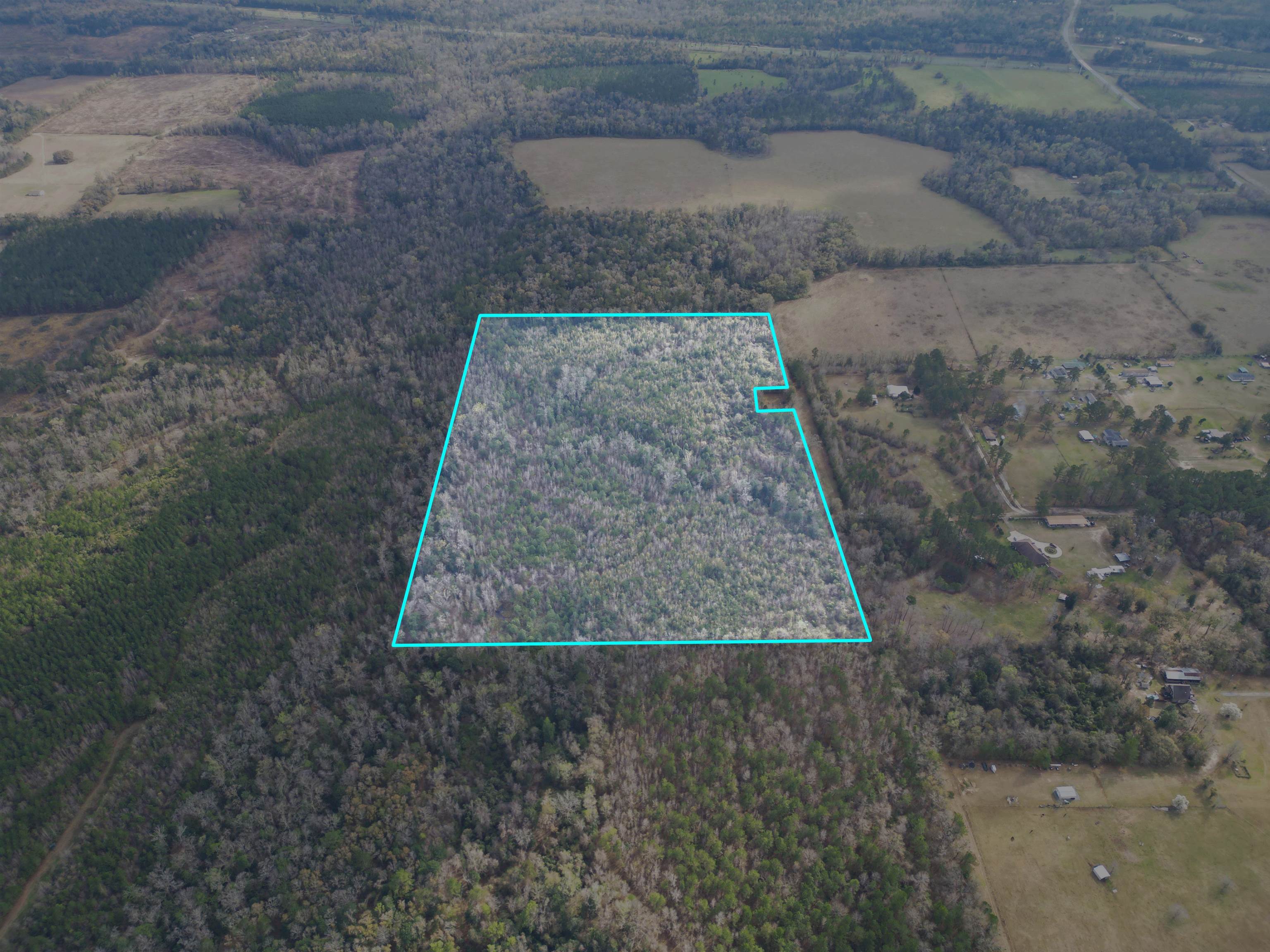 XXX Primrose,QUINCY,Florida 32351,Lots and land,Primrose,369320