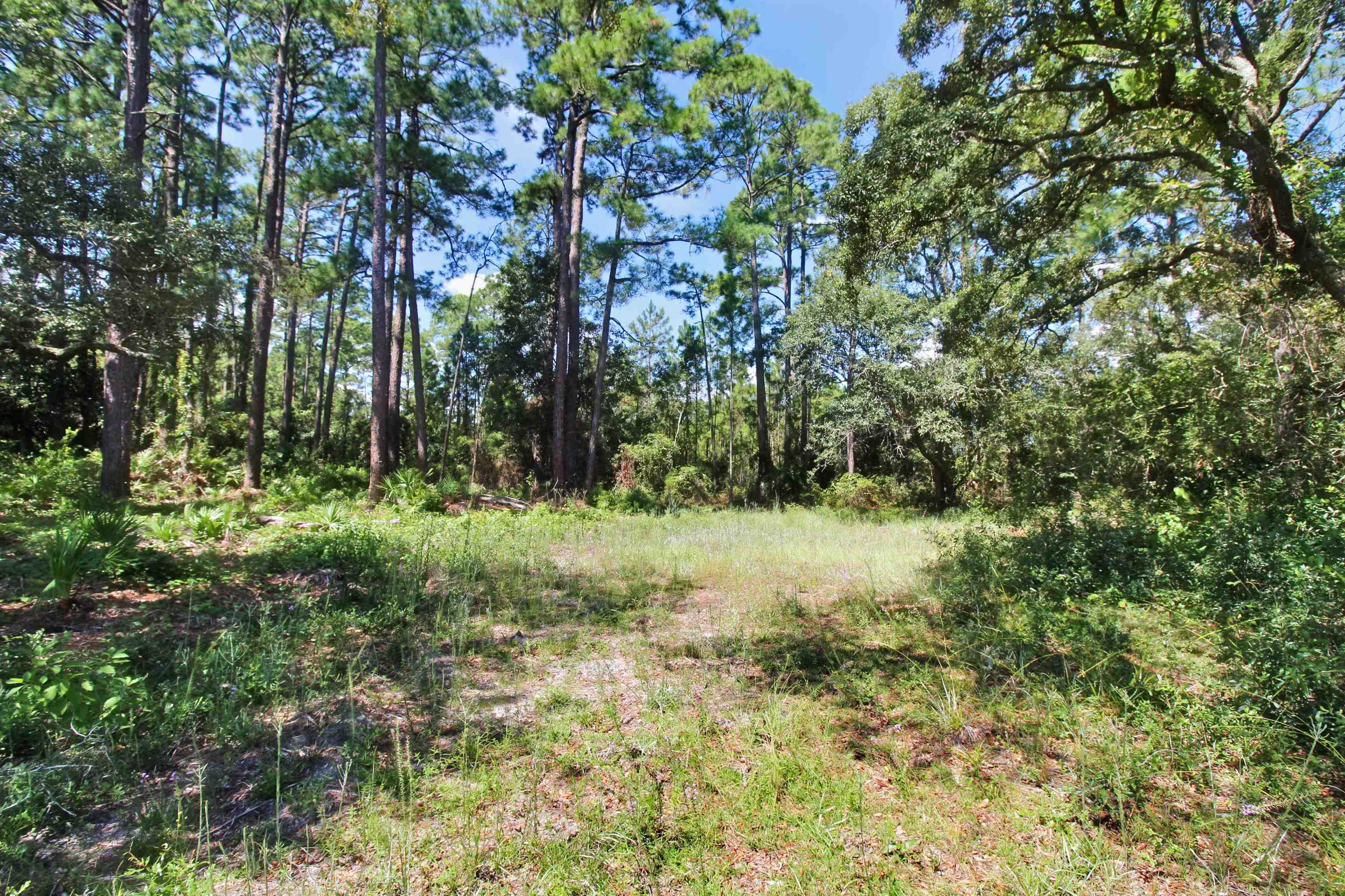 1126 Coastal Highway,PANACEA,Florida 32346,Lots and land,Coastal Highway,363106