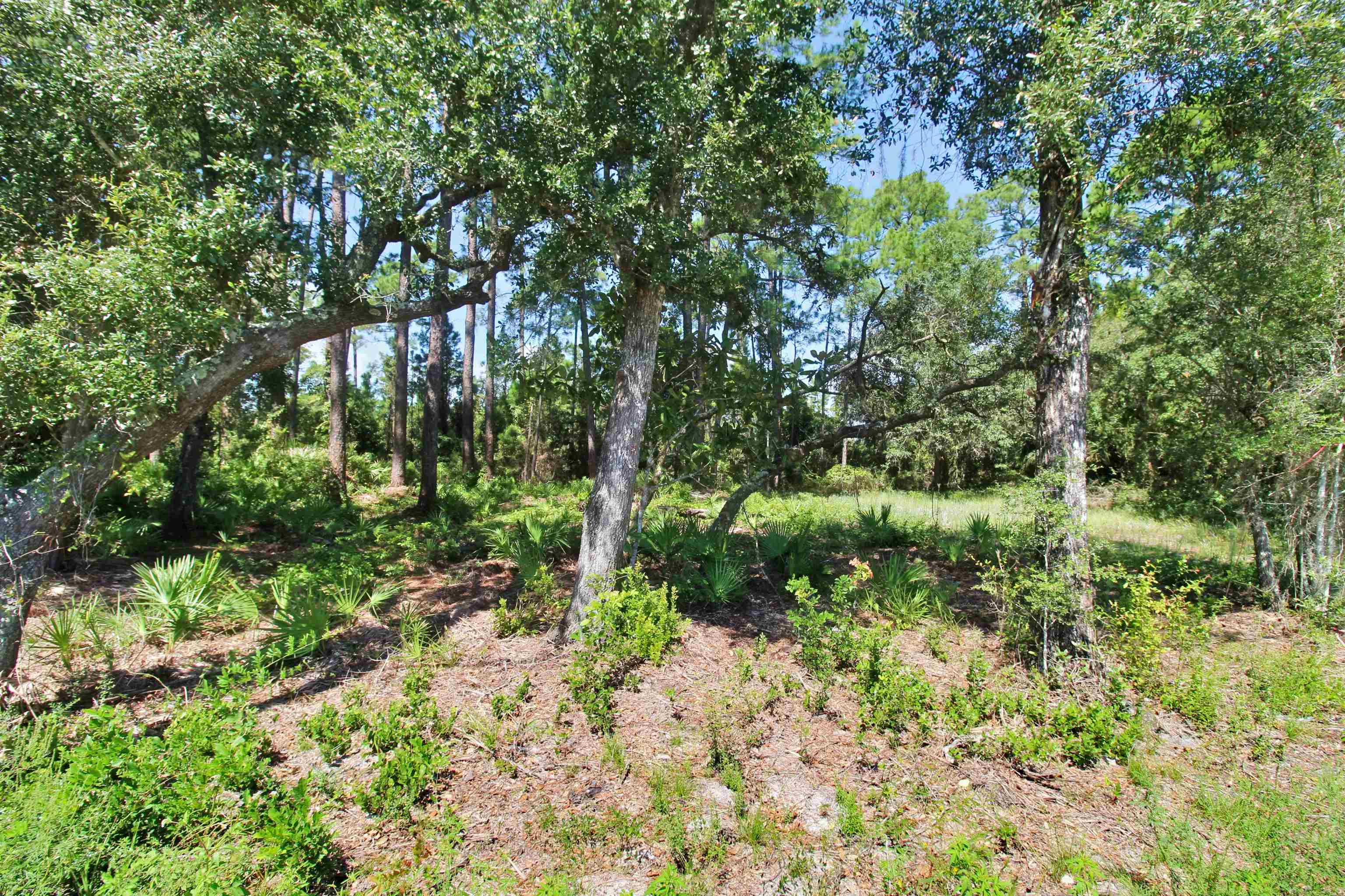 1126 Coastal Highway,PANACEA,Florida 32346,Lots and land,Coastal Highway,363106