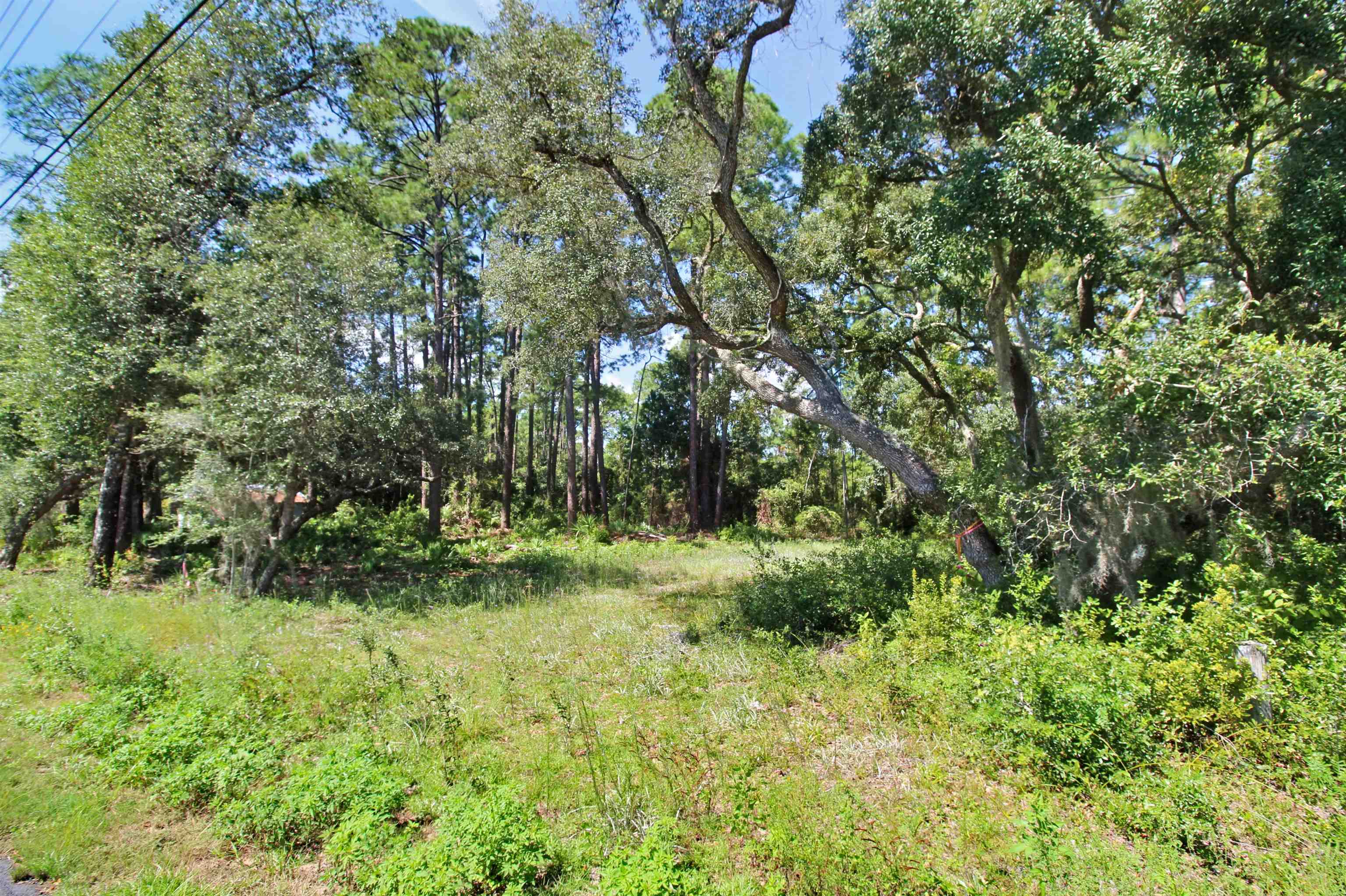 1126 Coastal Highway,PANACEA,Florida 32346,Lots and land,Coastal Highway,363106