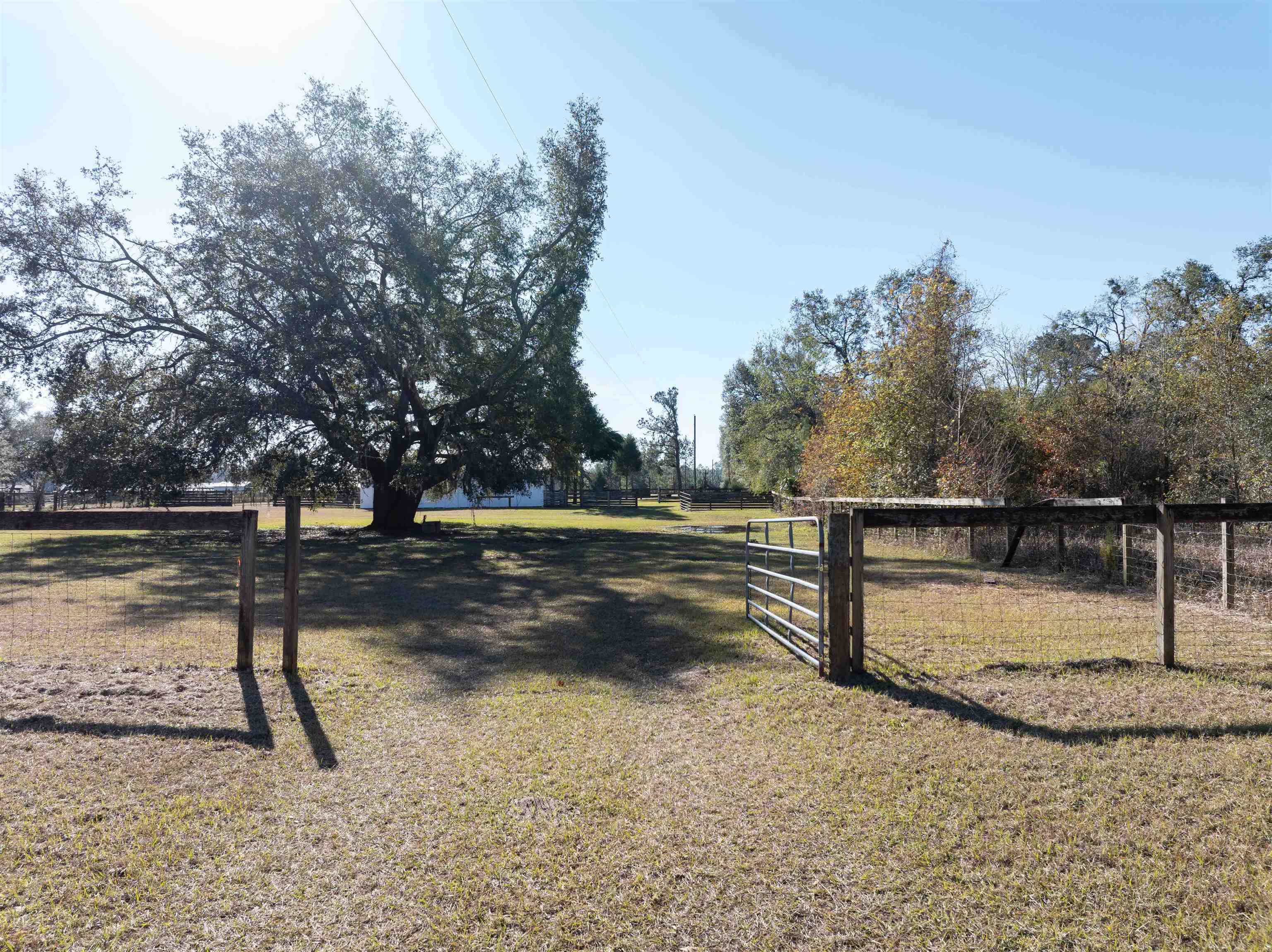 2315 Old St. Augustine,MADISON,Florida 32340,Lots and land,Old St. Augustine,367173