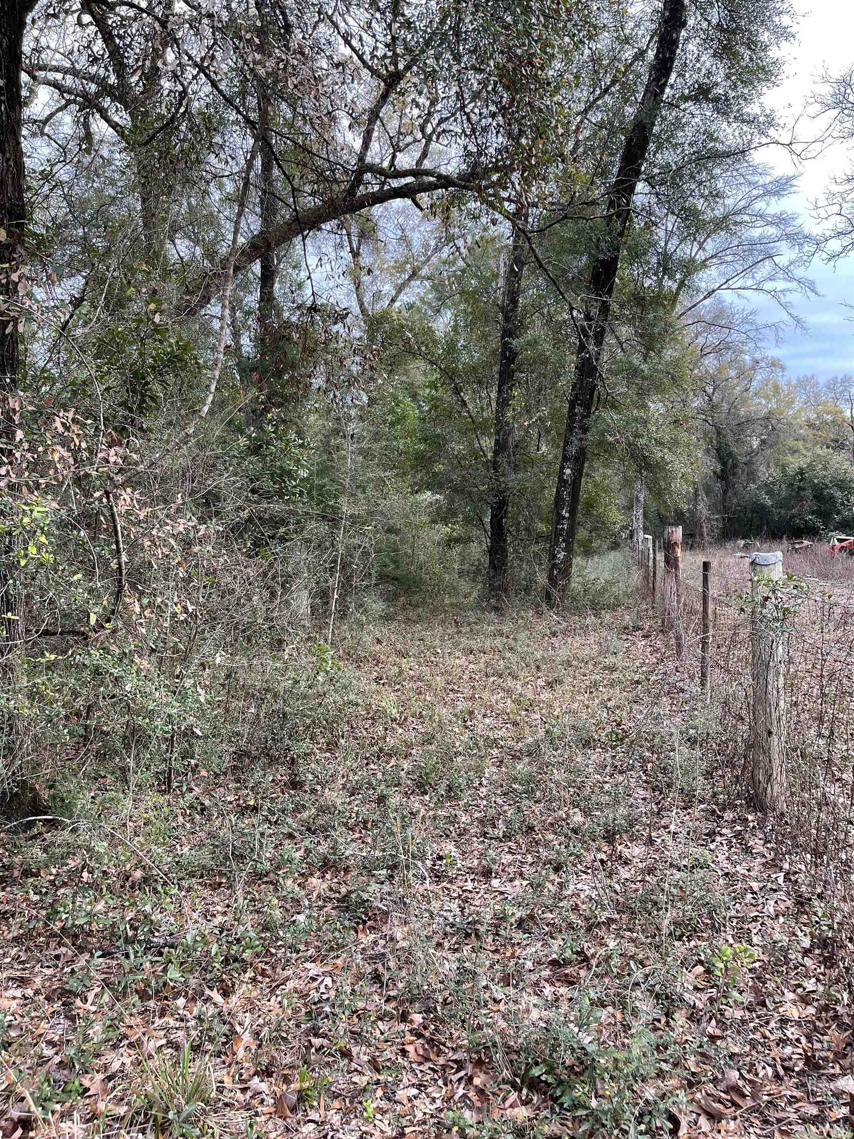 185 Mcmahan,CRAWFORDVILLE,Florida 32327,Lots and land,Mcmahan,369322