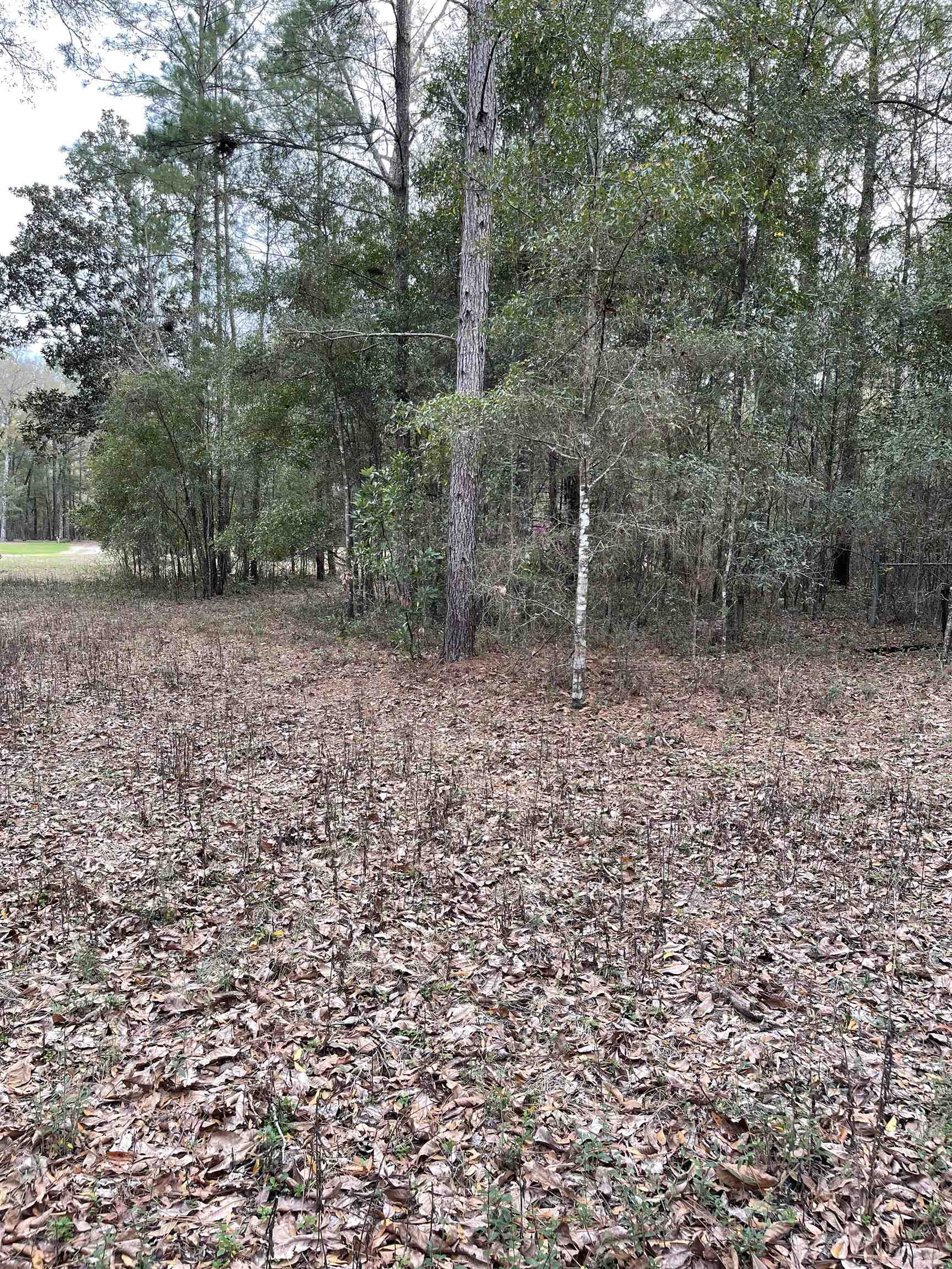 185 Mcmahan,CRAWFORDVILLE,Florida 32327,Lots and land,Mcmahan,369322