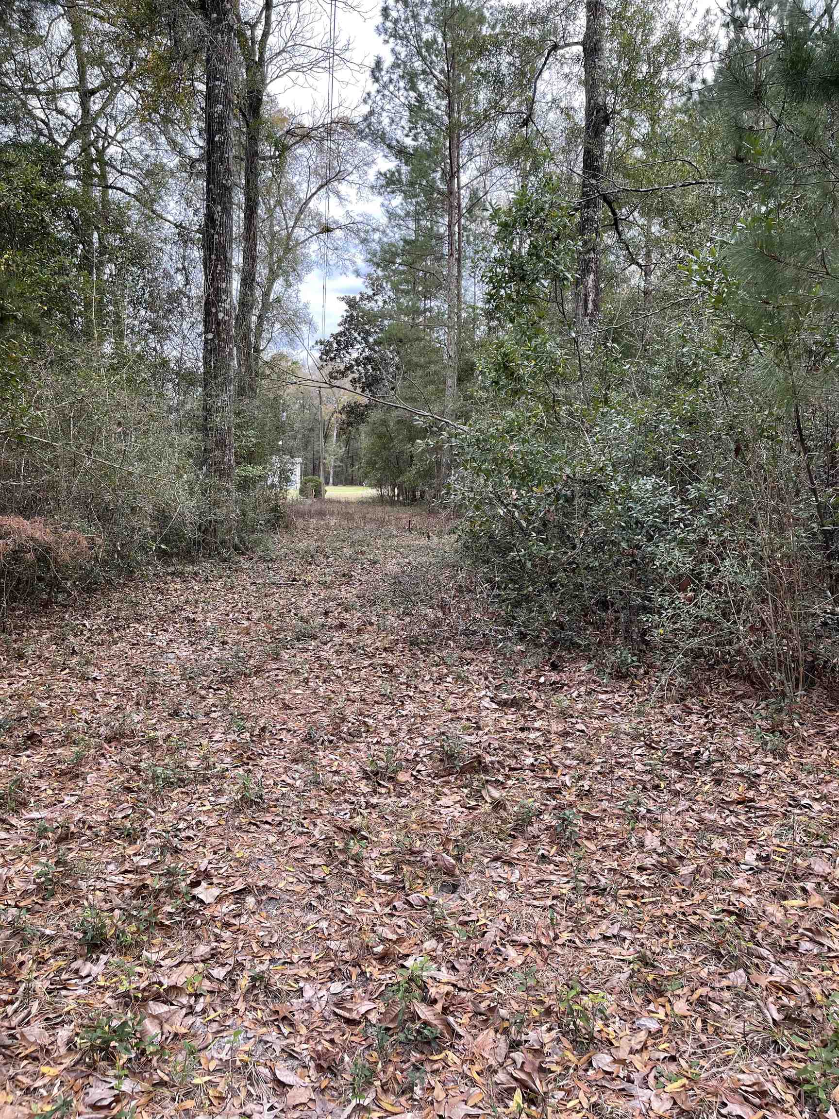 185 Mcmahan,CRAWFORDVILLE,Florida 32327,Lots and land,Mcmahan,369322