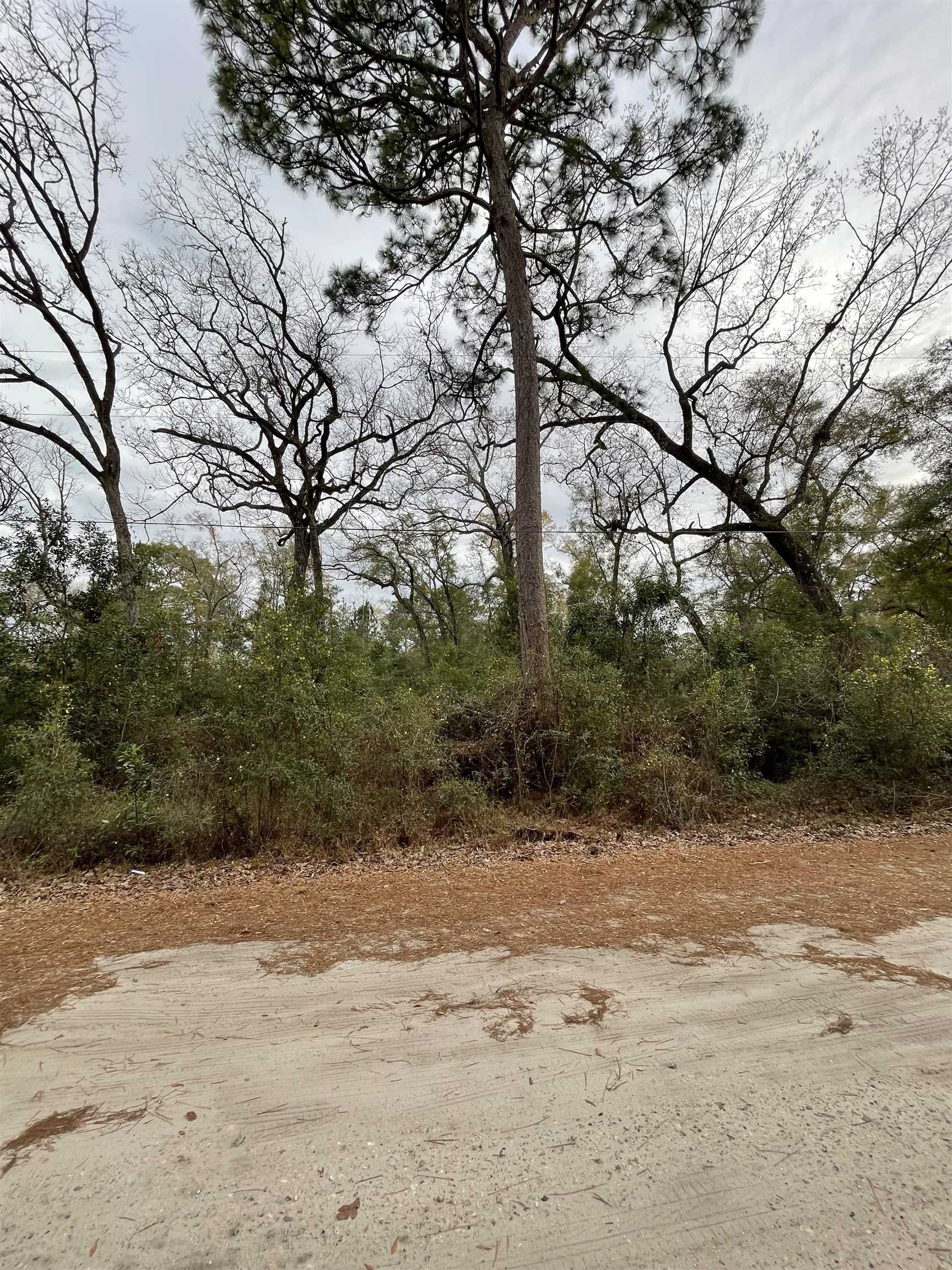 185 Mcmahan,CRAWFORDVILLE,Florida 32327,Lots and land,Mcmahan,369322