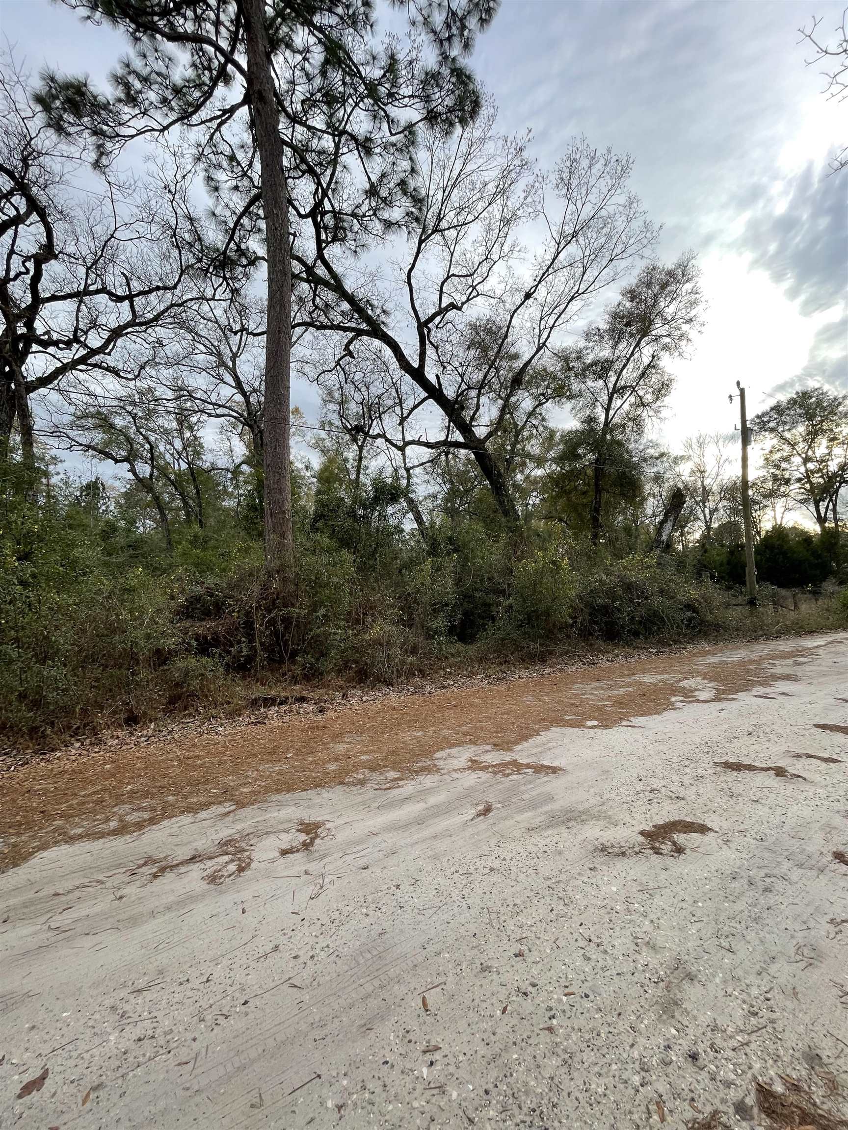 185 Mcmahan,CRAWFORDVILLE,Florida 32327,Lots and land,Mcmahan,369322