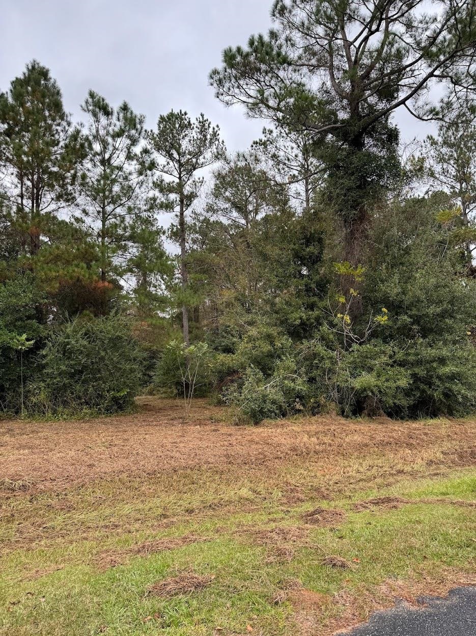 13 Raven Run,HAVANA,Florida 32333,Lots and land,Raven Run,363177