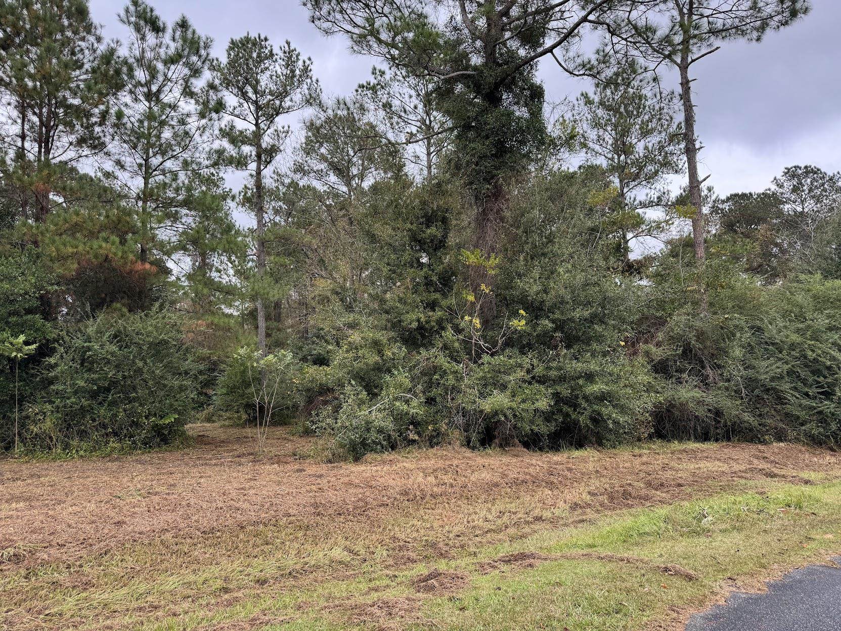 13 Raven Run,HAVANA,Florida 32333,Lots and land,Raven Run,363177