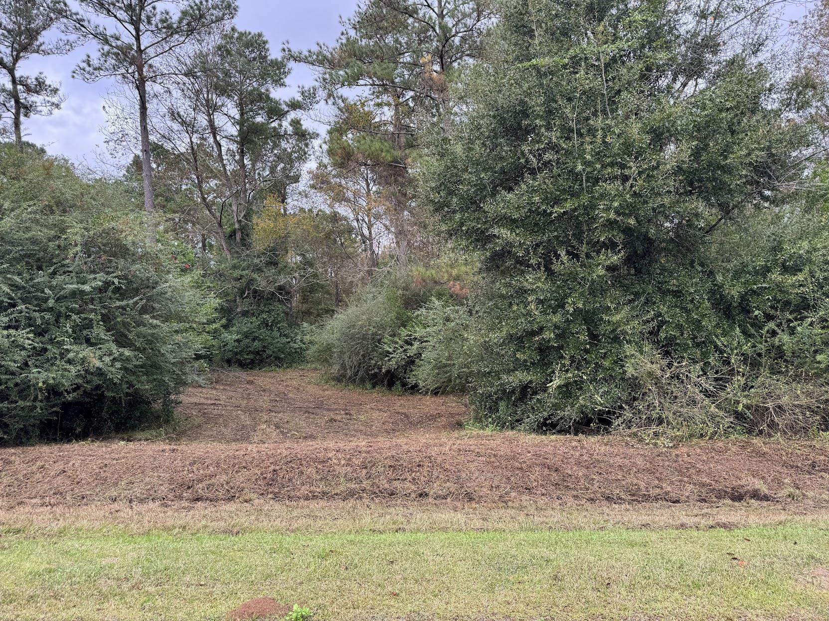 13 Raven Run,HAVANA,Florida 32333,Lots and land,Raven Run,363177