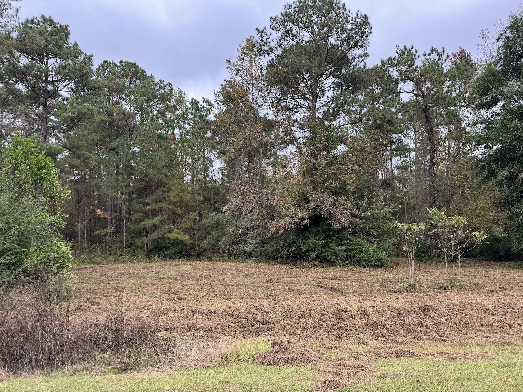 13 Raven Run,HAVANA,Florida 32333,Lots and land,Raven Run,363177