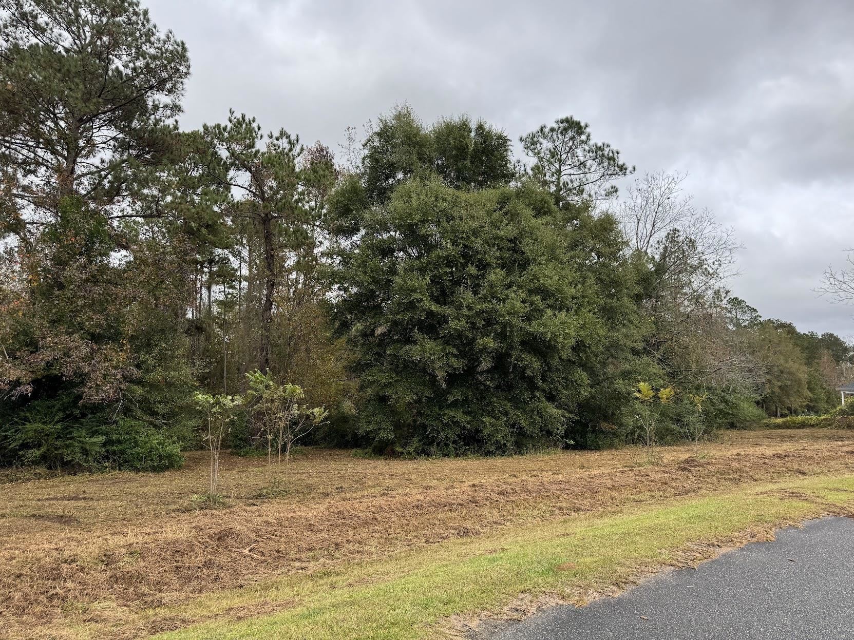 13 Raven Run,HAVANA,Florida 32333,Lots and land,Raven Run,363177