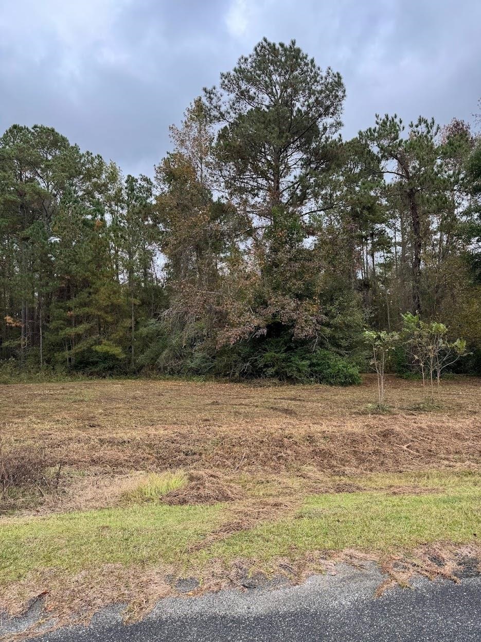 13 Raven Run,HAVANA,Florida 32333,Lots and land,Raven Run,363177