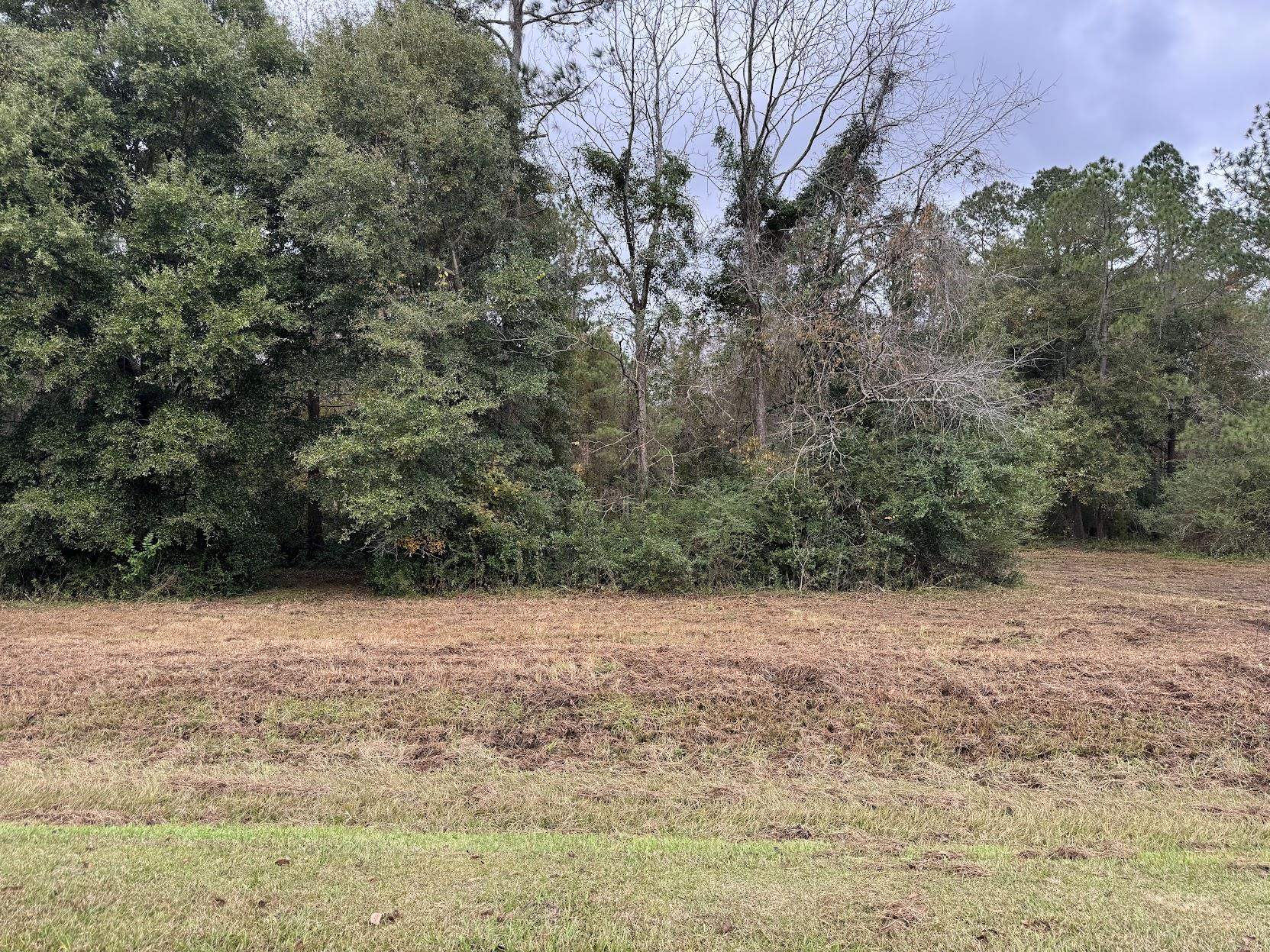 13 Raven Run,HAVANA,Florida 32333,Lots and land,Raven Run,363177