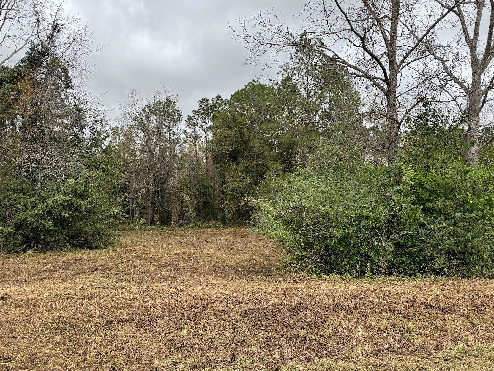 13 Raven Run,HAVANA,Florida 32333,Lots and land,Raven Run,363177