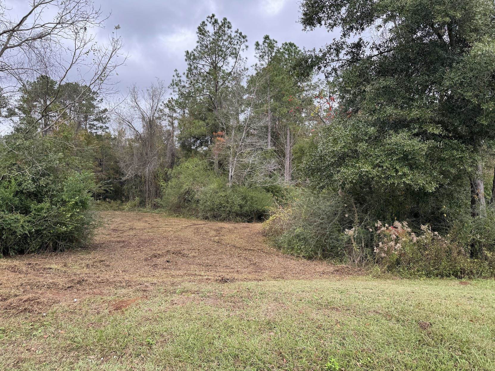 13 Raven Run,HAVANA,Florida 32333,Lots and land,Raven Run,363177