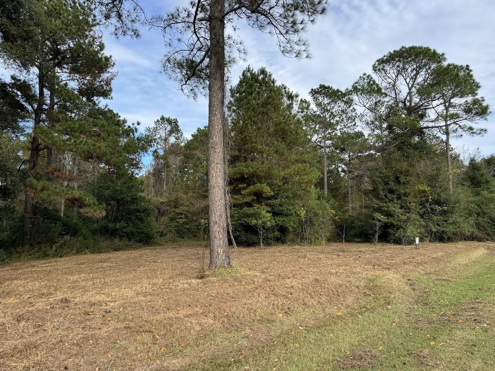 13 Raven Run,HAVANA,Florida 32333,Lots and land,Raven Run,363177