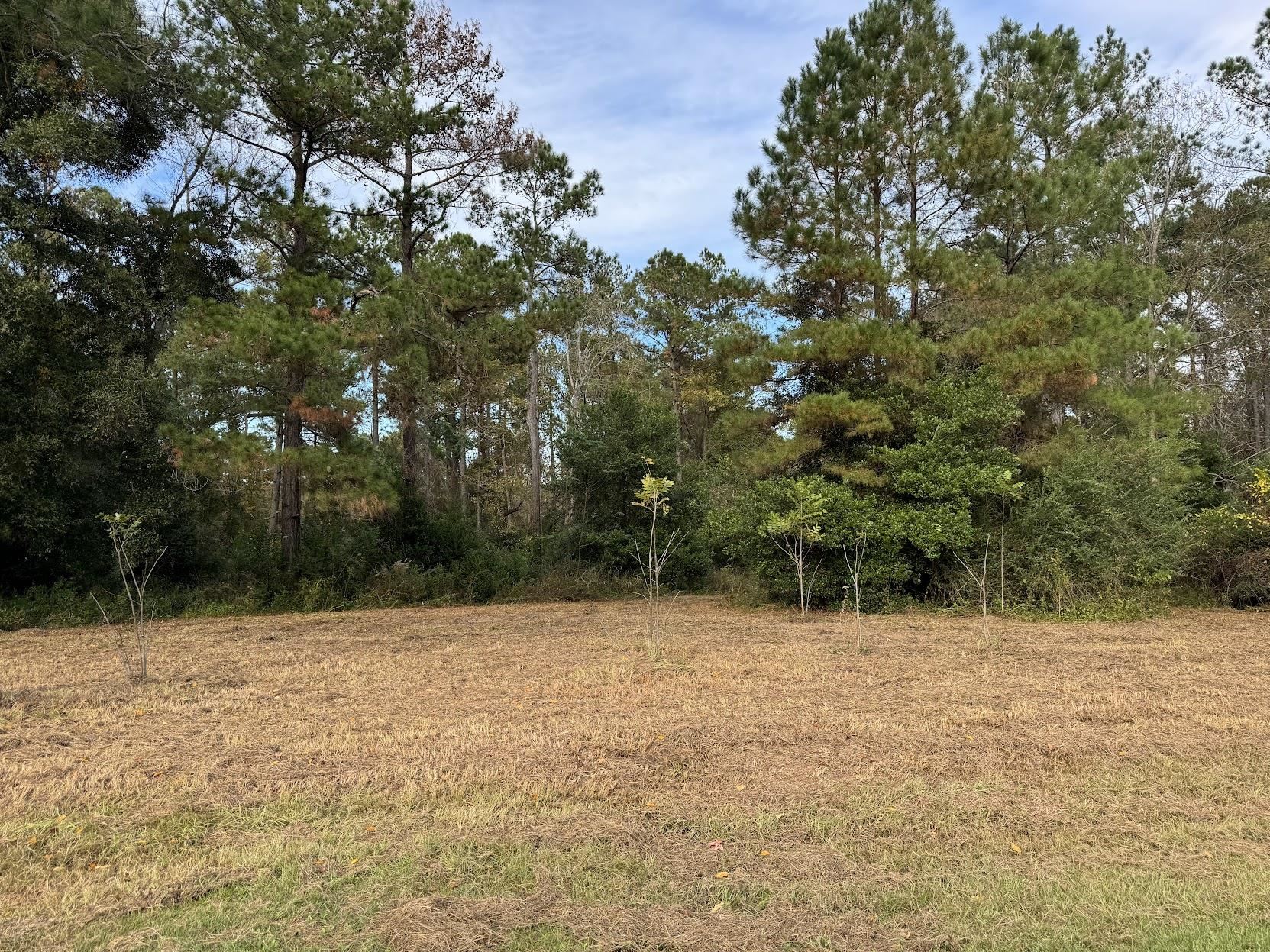 13 Raven Run,HAVANA,Florida 32333,Lots and land,Raven Run,363177