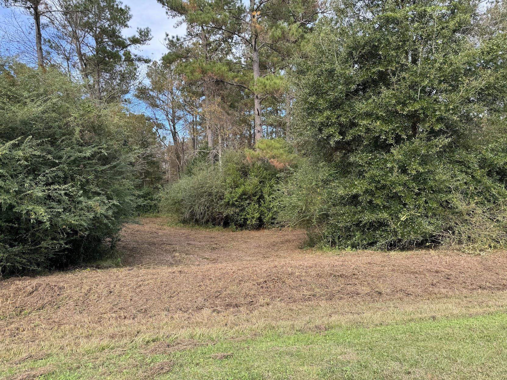 13 Raven Run,HAVANA,Florida 32333,Lots and land,Raven Run,363177