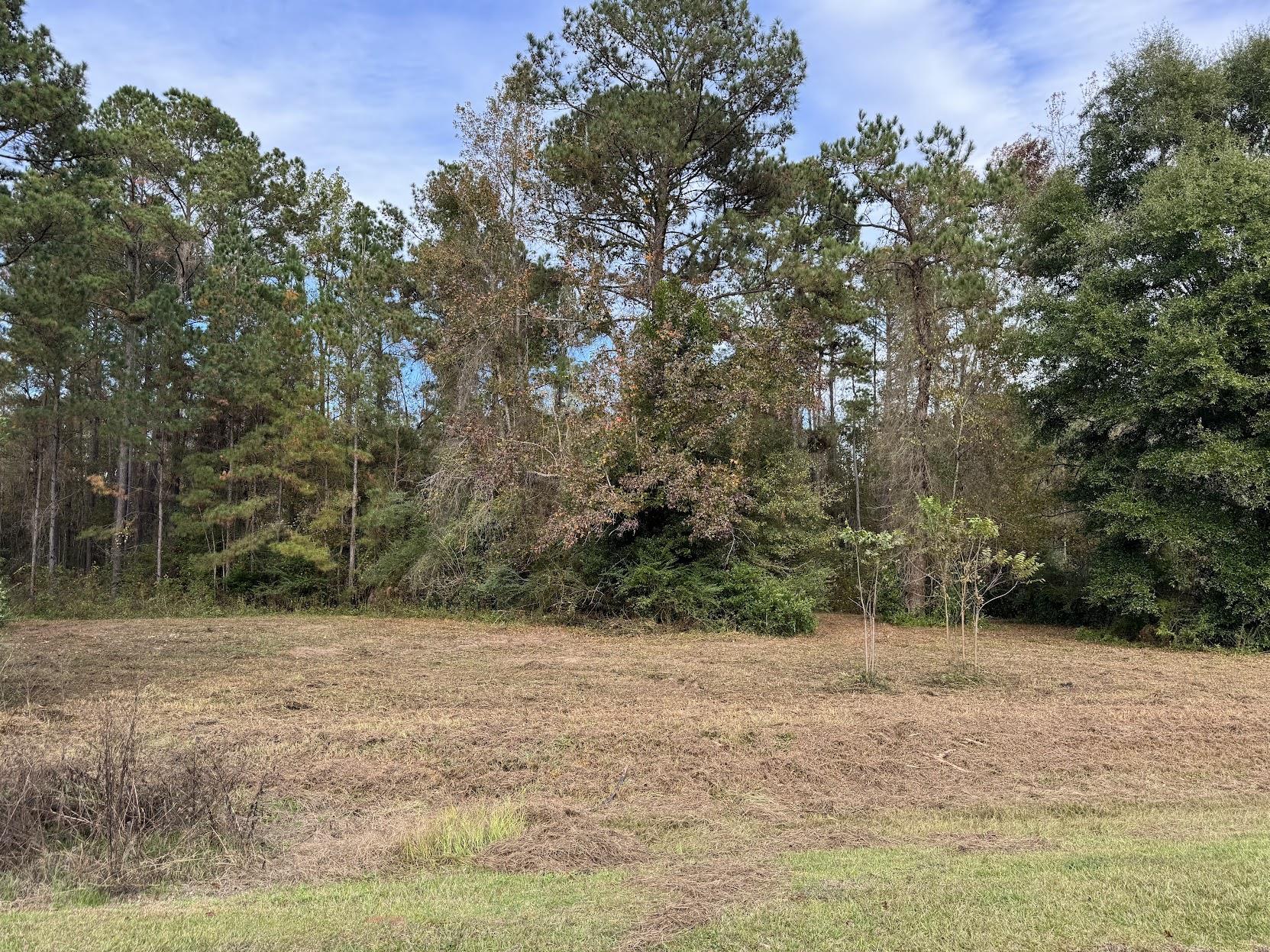 13 Raven Run,HAVANA,Florida 32333,Lots and land,Raven Run,363177