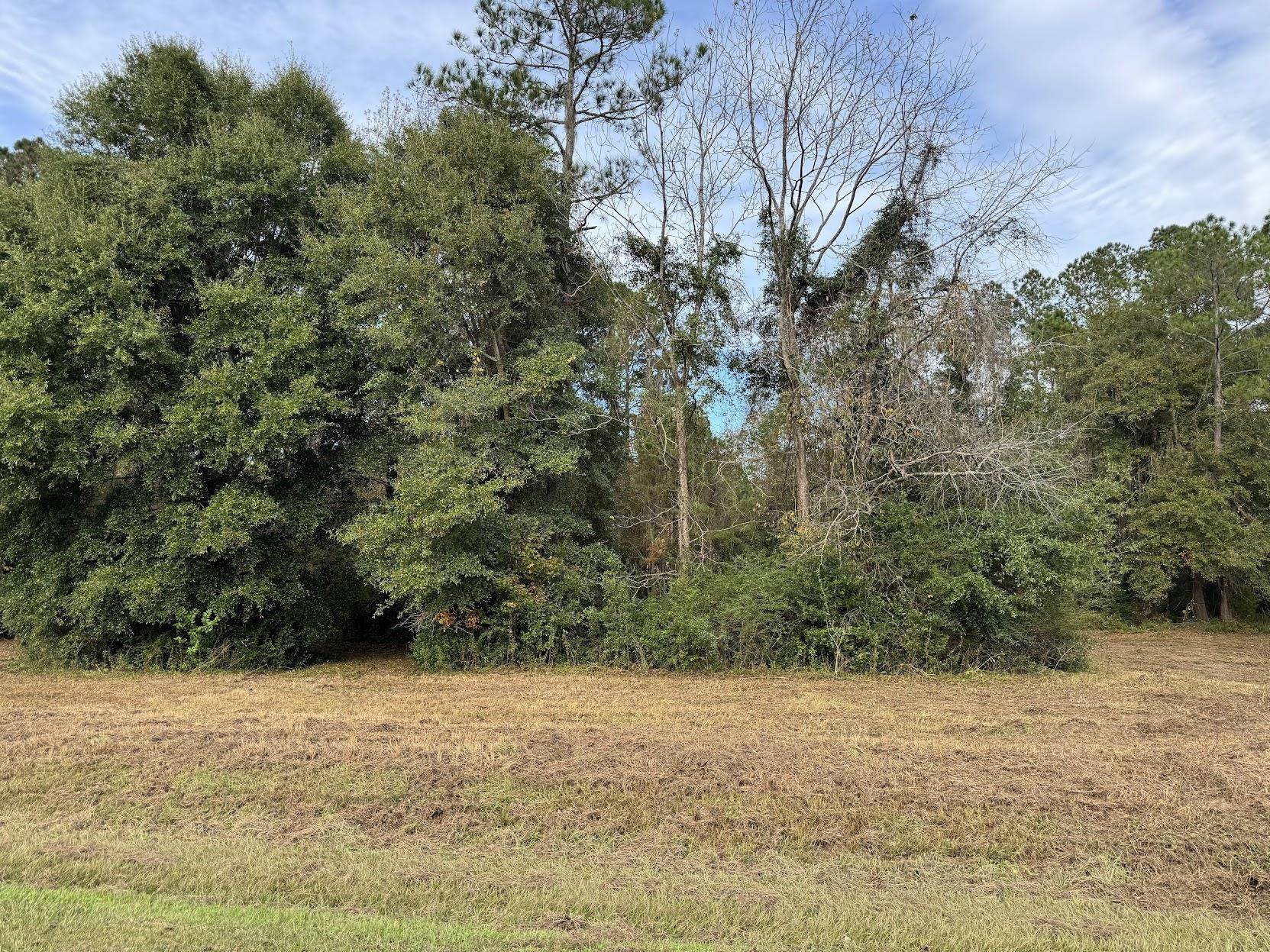 13 Raven Run,HAVANA,Florida 32333,Lots and land,Raven Run,363177