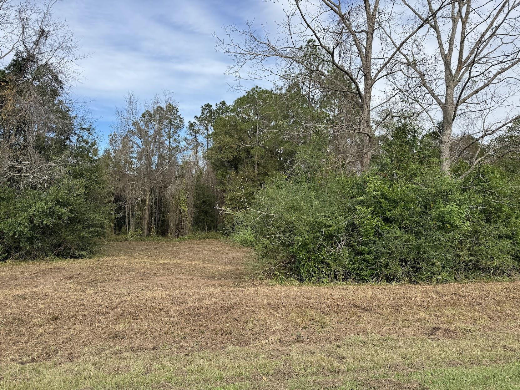 13 Raven Run,HAVANA,Florida 32333,Lots and land,Raven Run,363177