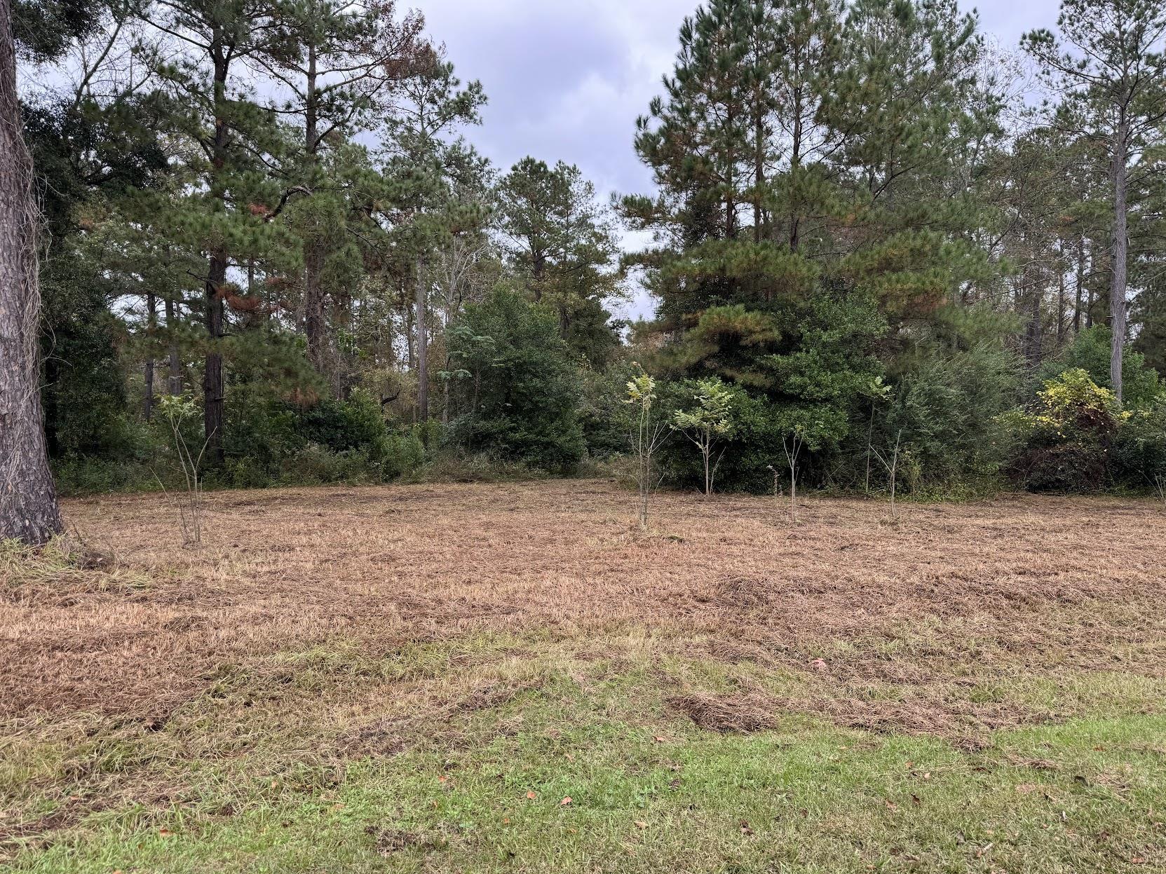 13 Raven Run,HAVANA,Florida 32333,Lots and land,Raven Run,363177