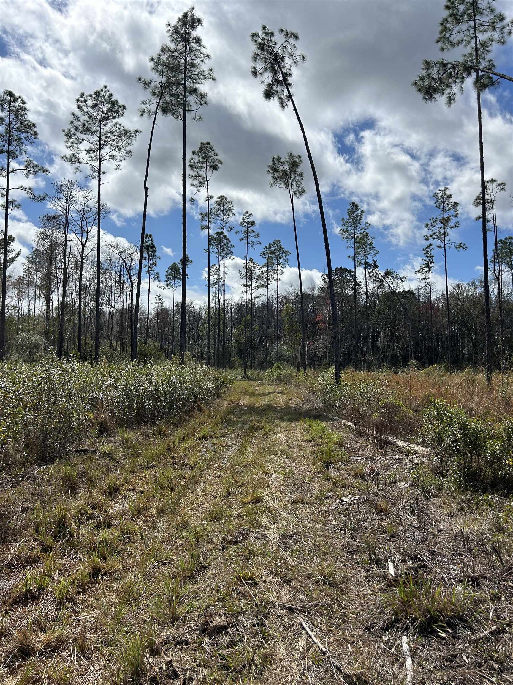 00 Oregon,GREENVILLE,Florida 32331,Lots and land,Oregon,369359